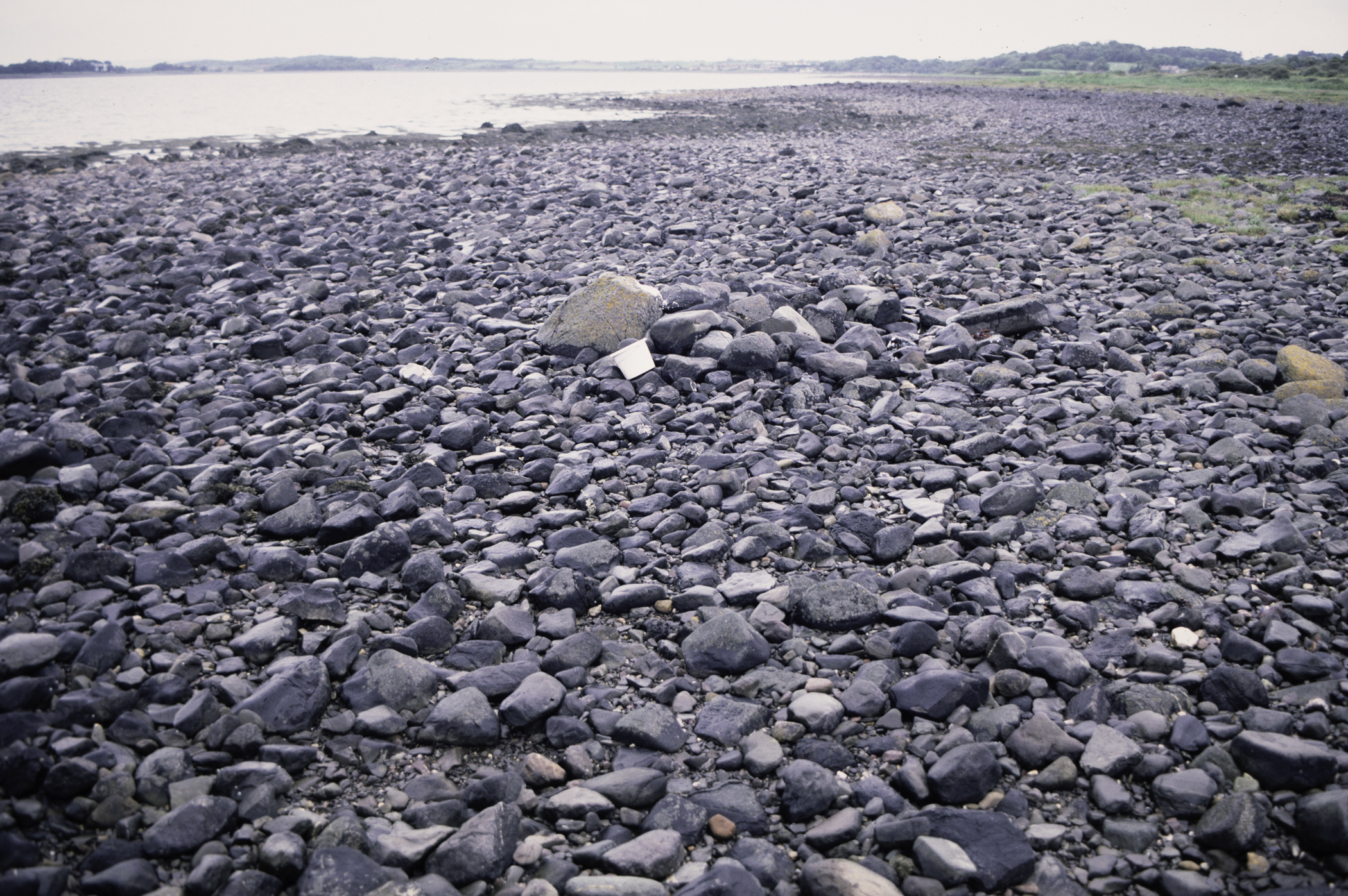 . Site: Herring Bay boulders, Strangford Lough. 