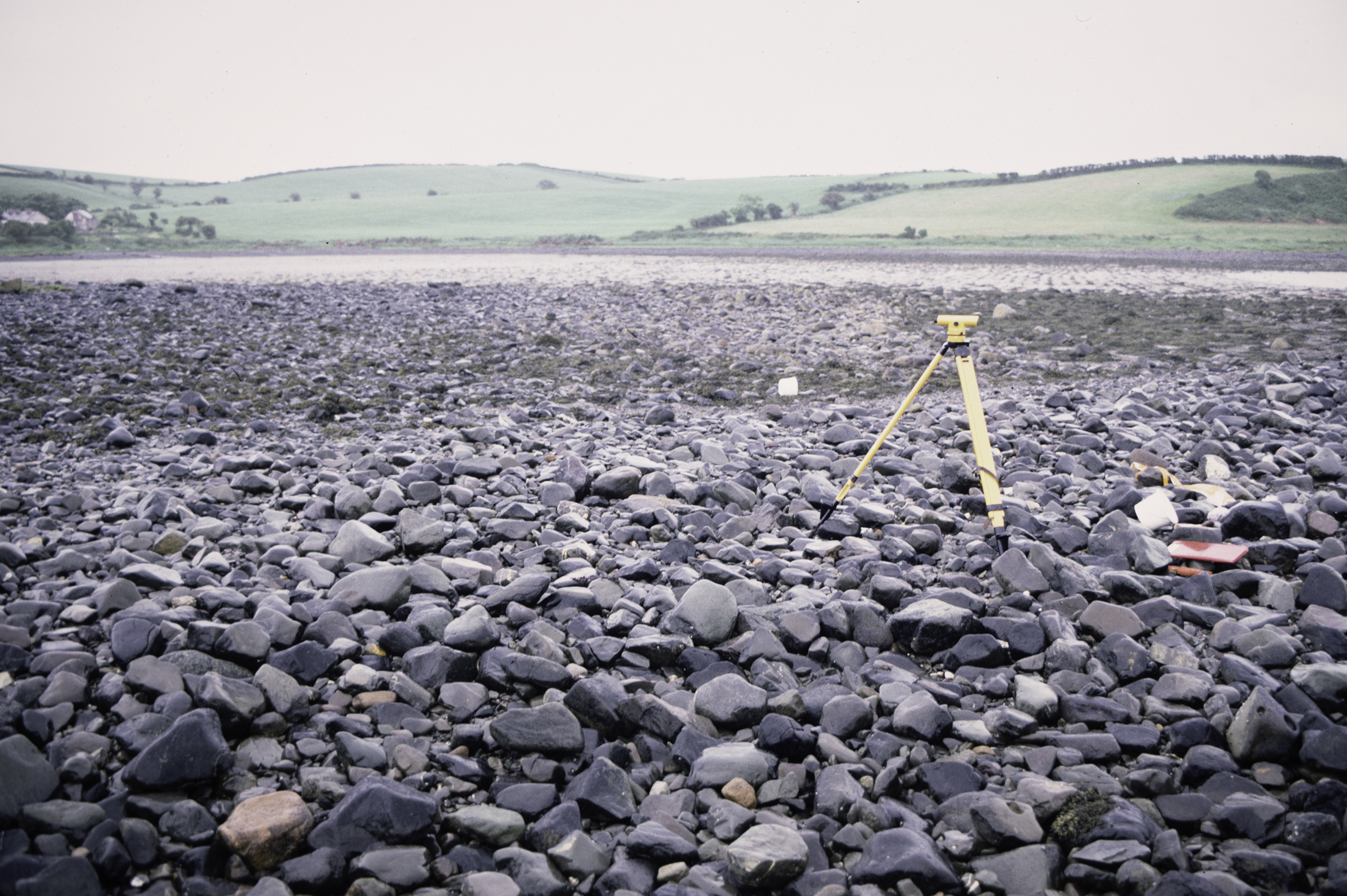 . Site: Herring Bay boulders, Strangford Lough. 