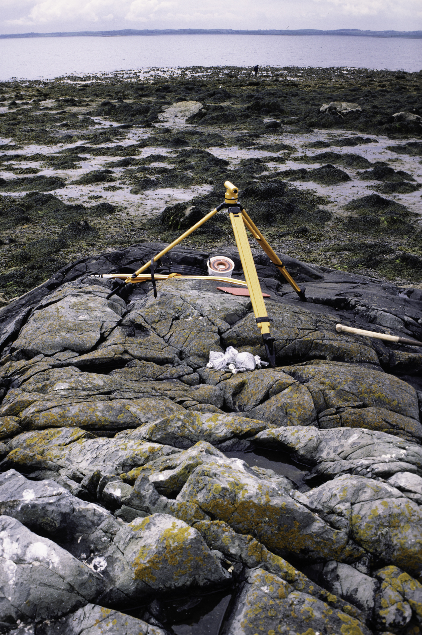 . Site: Black Neb, Strangford Lough. 