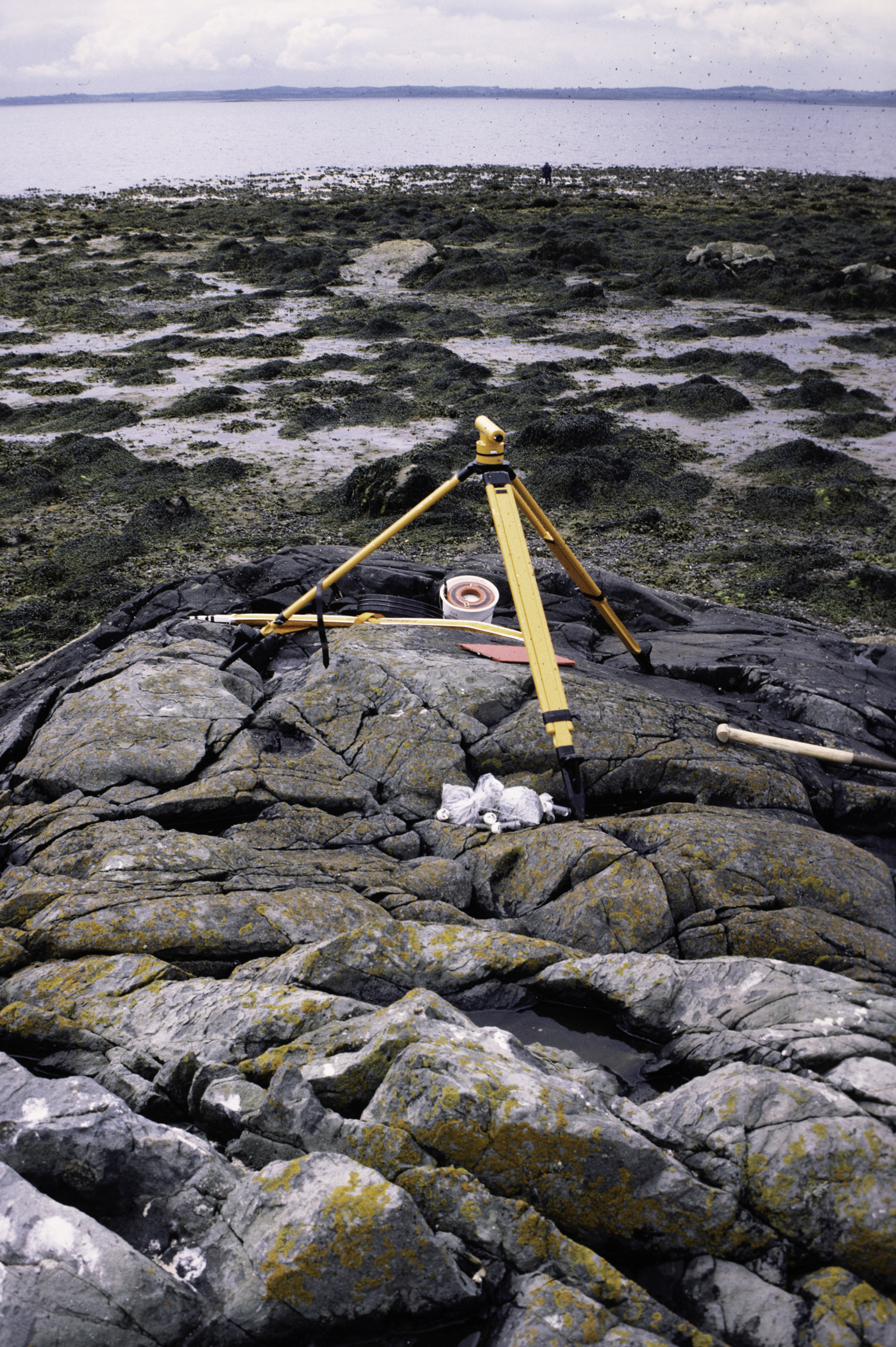 . Site: Black Neb, Strangford Lough. 