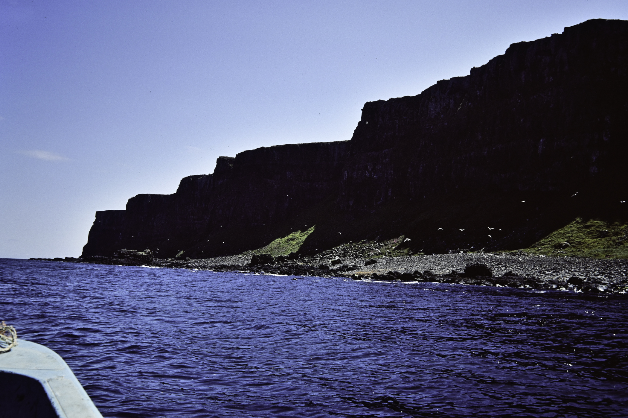 . Site: Stackamore, Rathlin Island. 