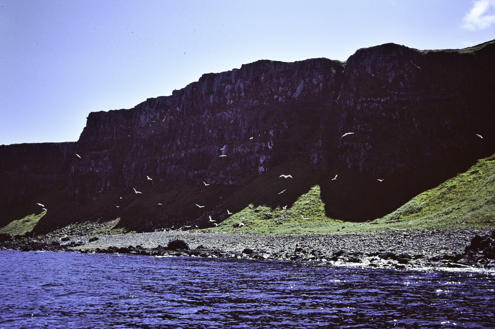 . Site: Stackamore, Rathlin Island. 