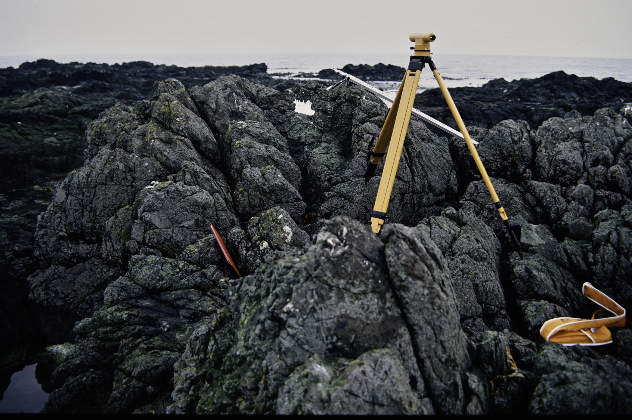 . Site: Doon Bay, Rathlin Island. 