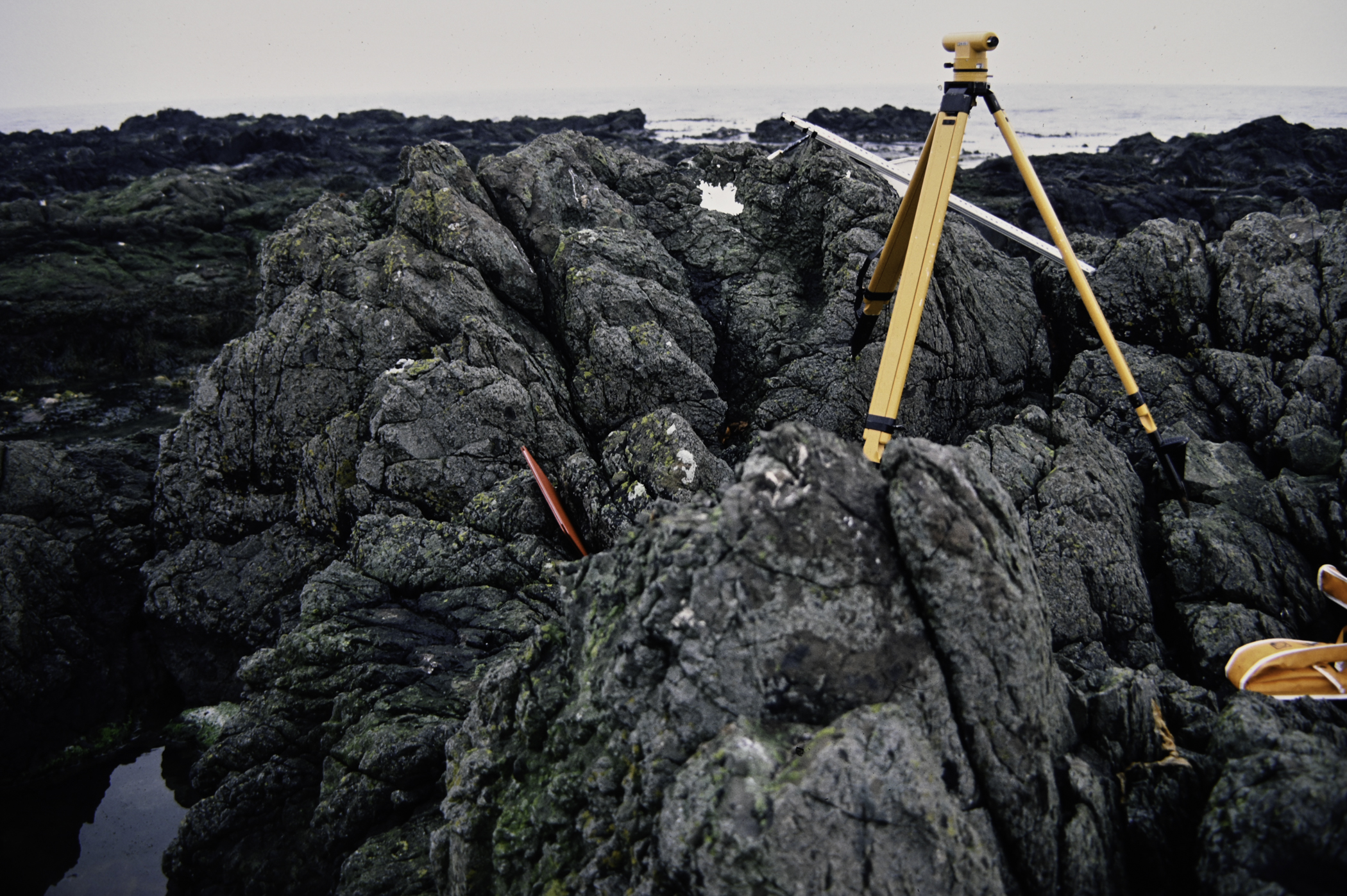 . Site: Doon Bay, Rathlin Island. 