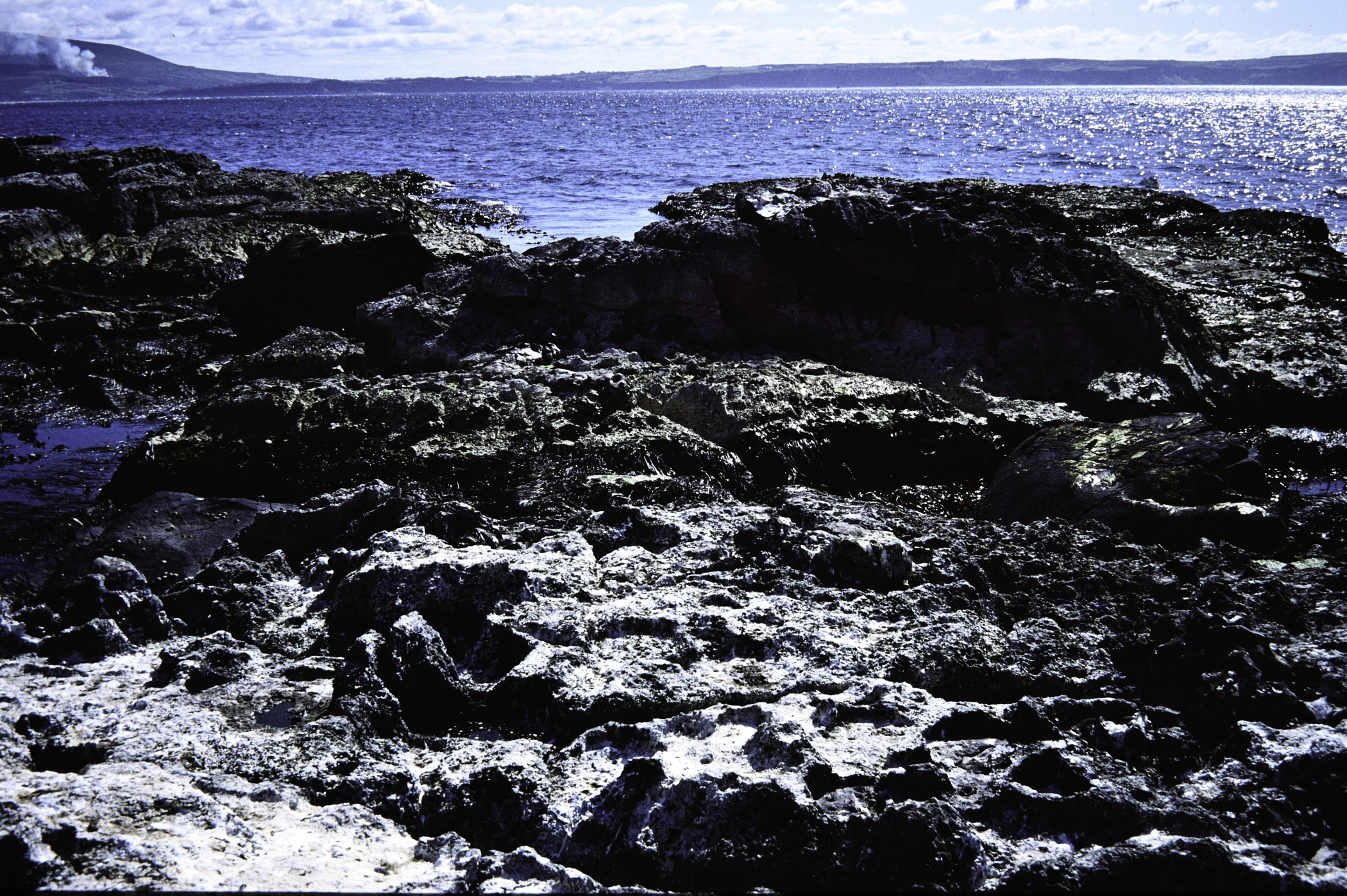 . Site: Oweydoo, Rathlin Island. 