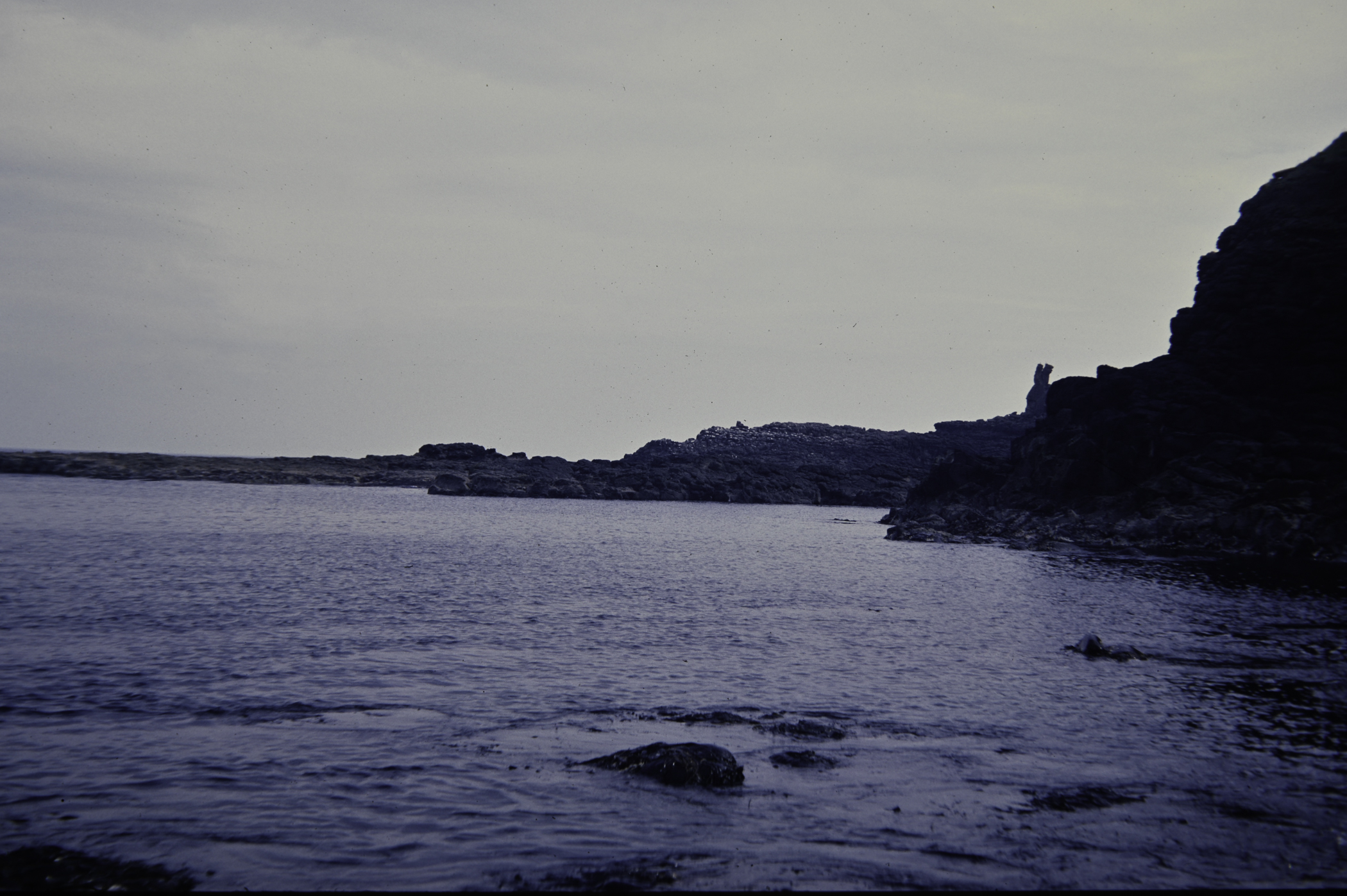 . Site: Port na Tober Headland, North Coast. 