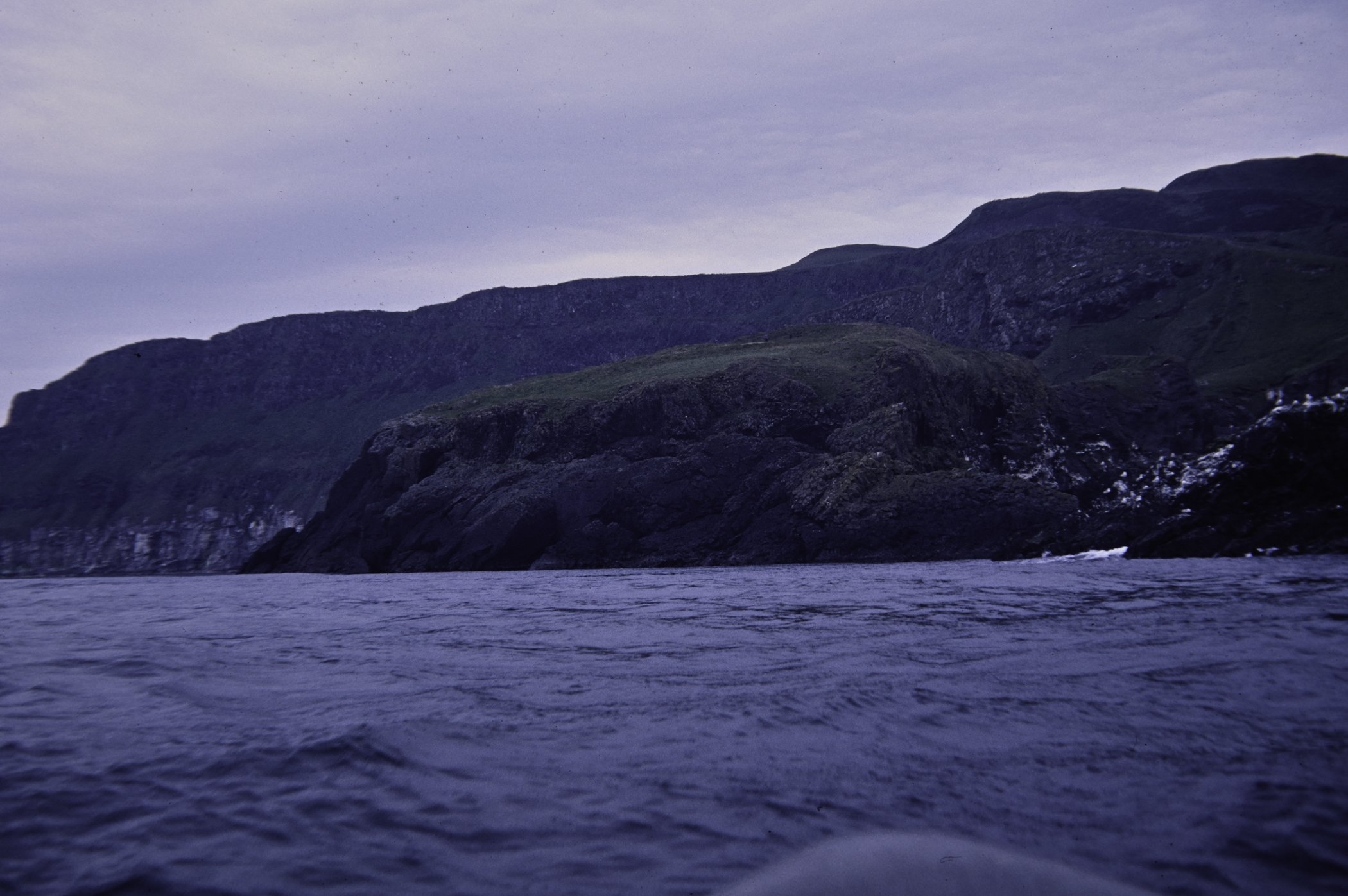 . Site: Carrick-a-rede, North Coast. 