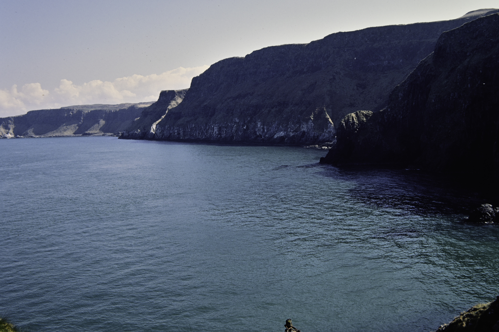 . Site: Carrick-a-rede, North Coast. 