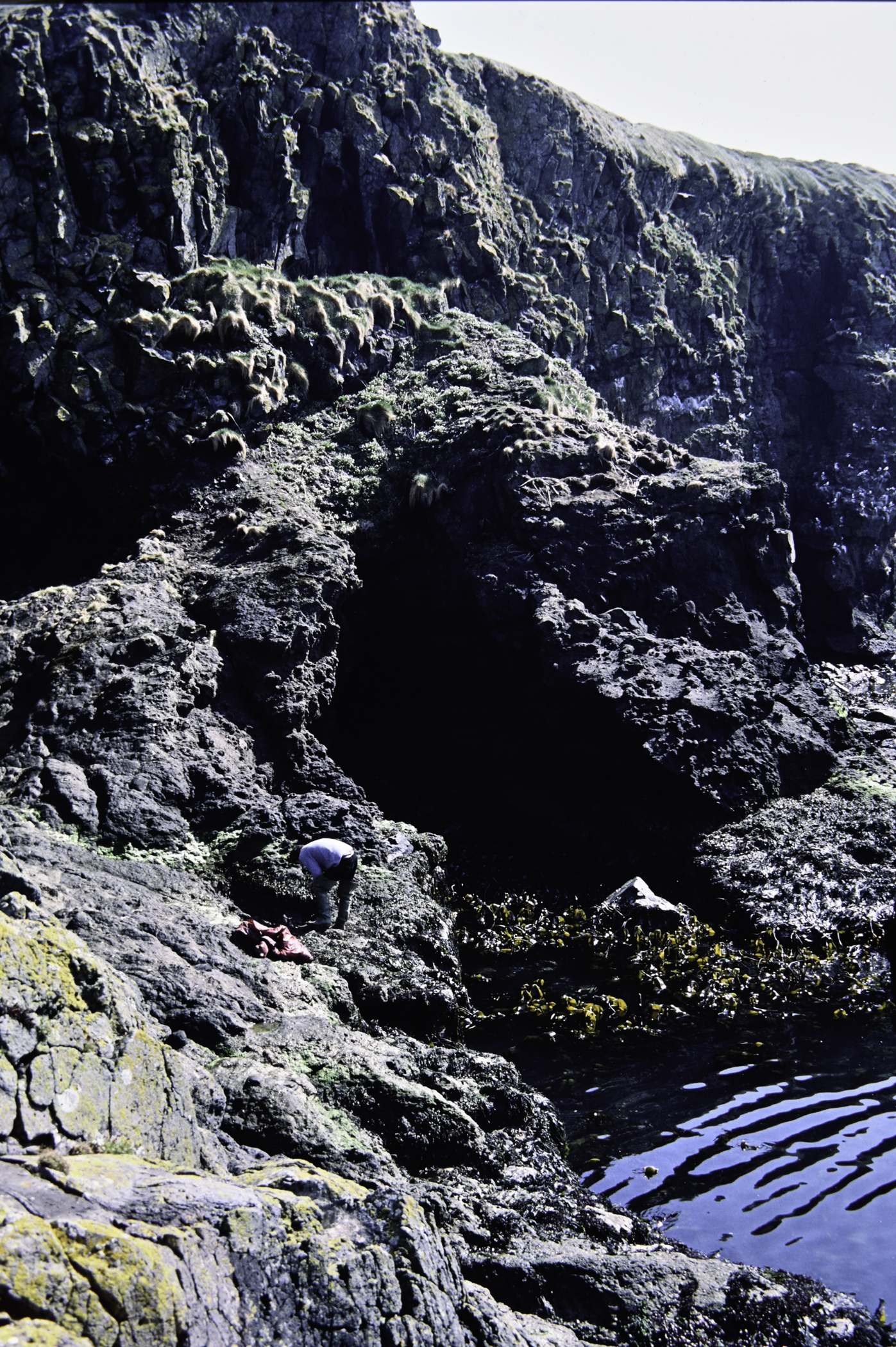 . Site: Carrick-a-rede, North Coast. 