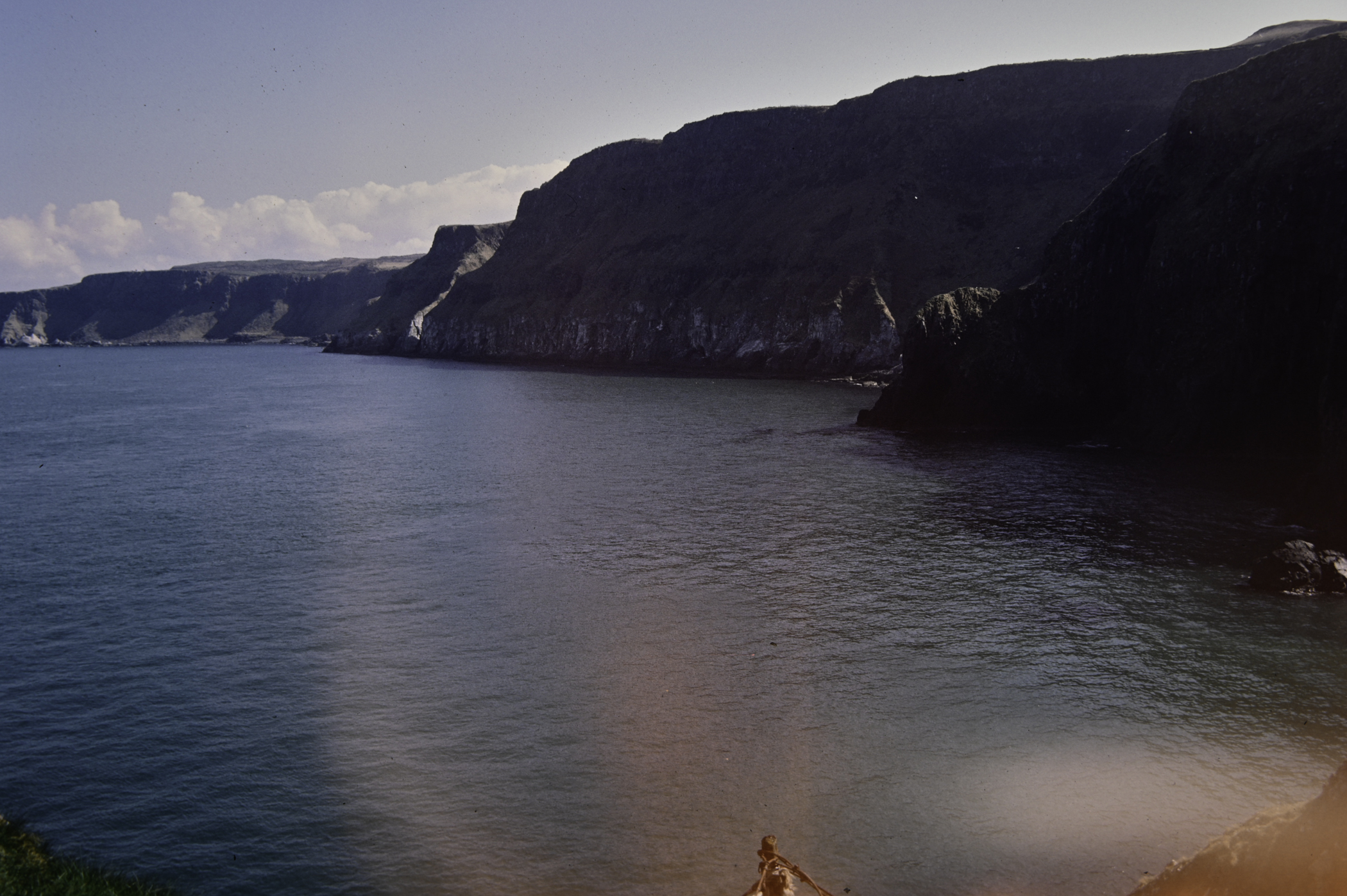 . Site: Carrick-a-rede, North Coast. 