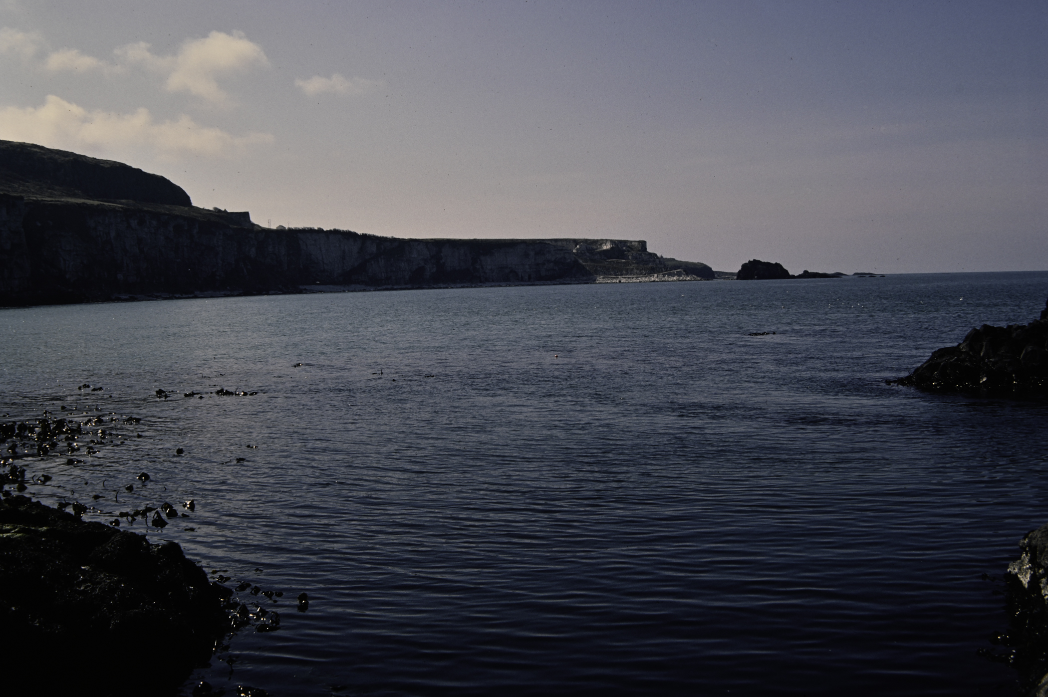 . Site: Carrick-a-rede, North Coast. 