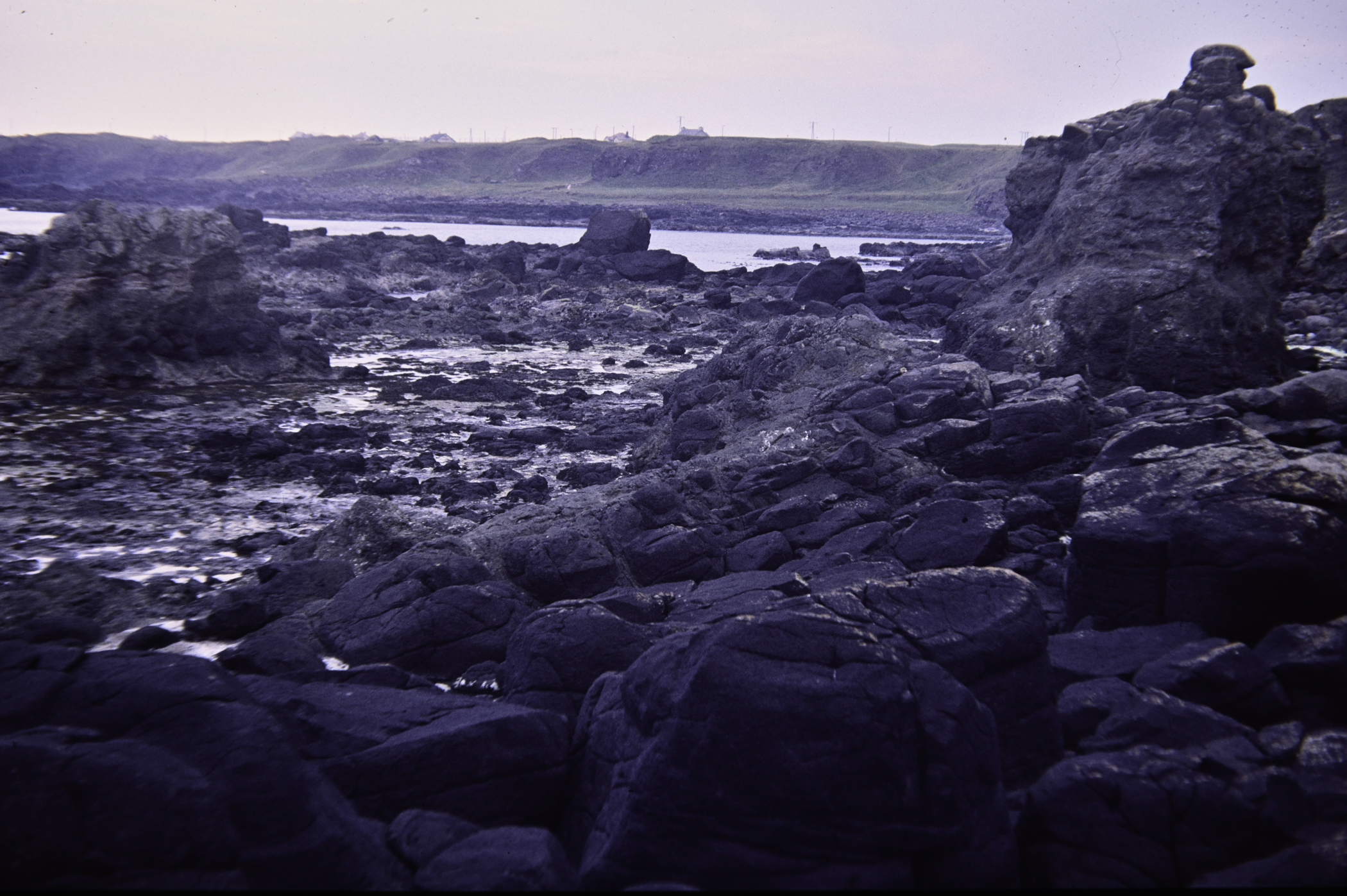 . Site: Rinagree Point, North Coast. 