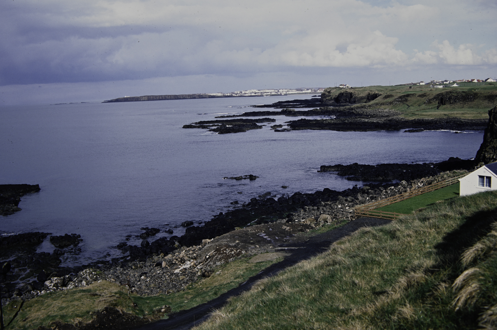 . Site: Rinagree Point, North Coast. 