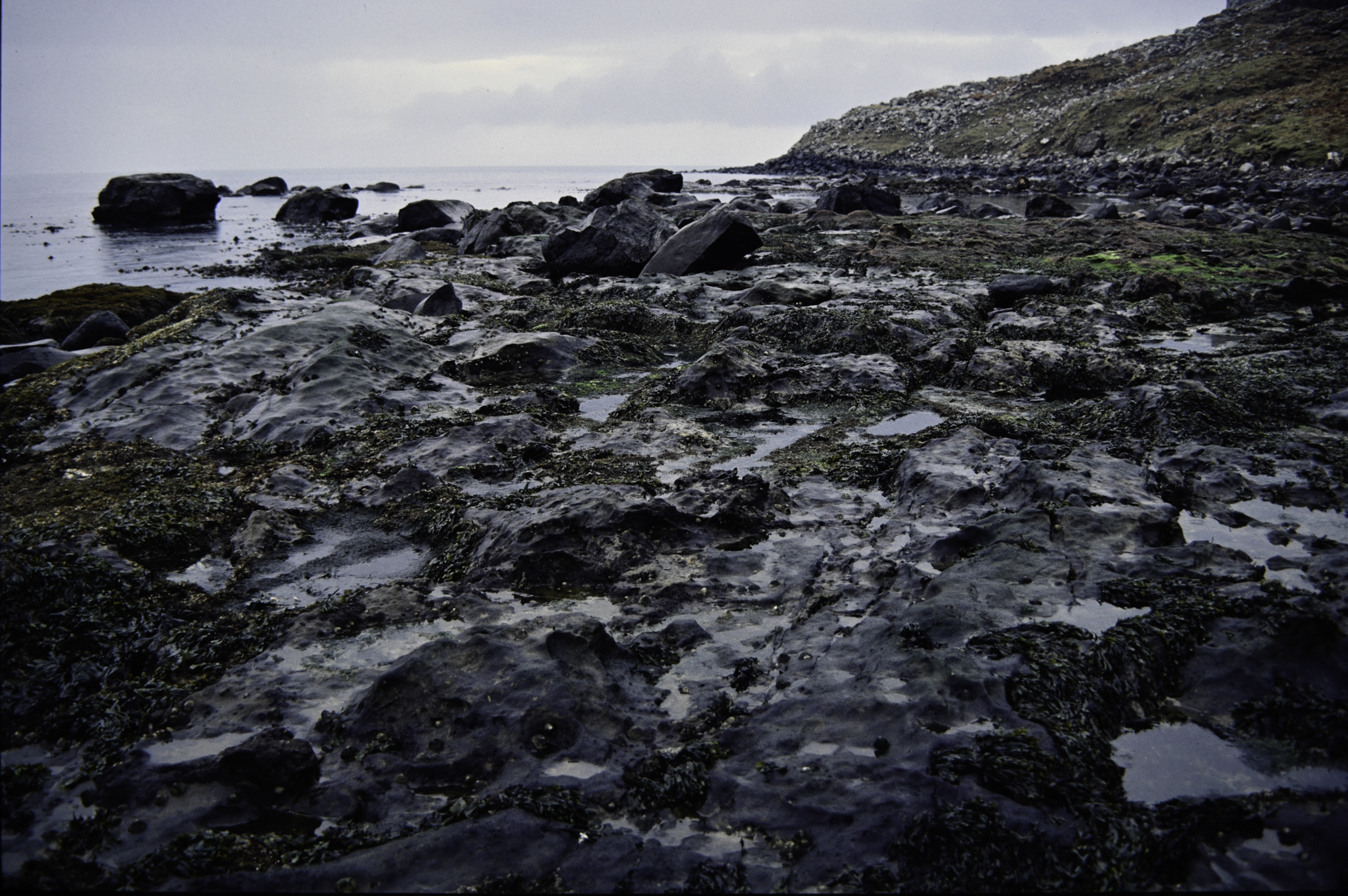 . Site: Carrick More, North Coast. 