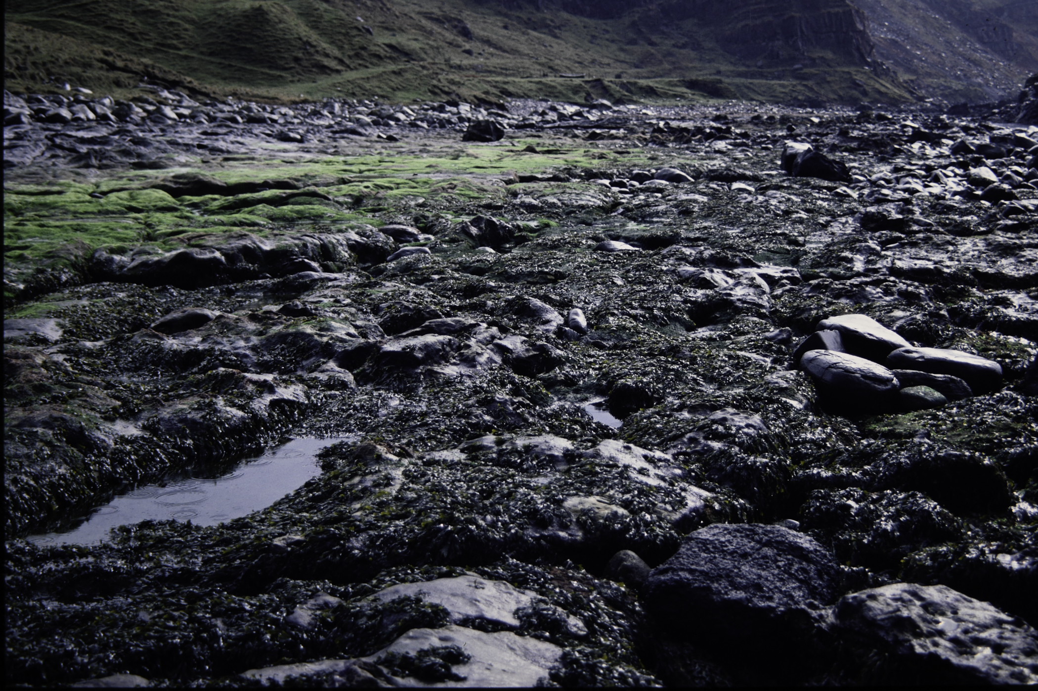 . Site: Carrick More, North Coast. 