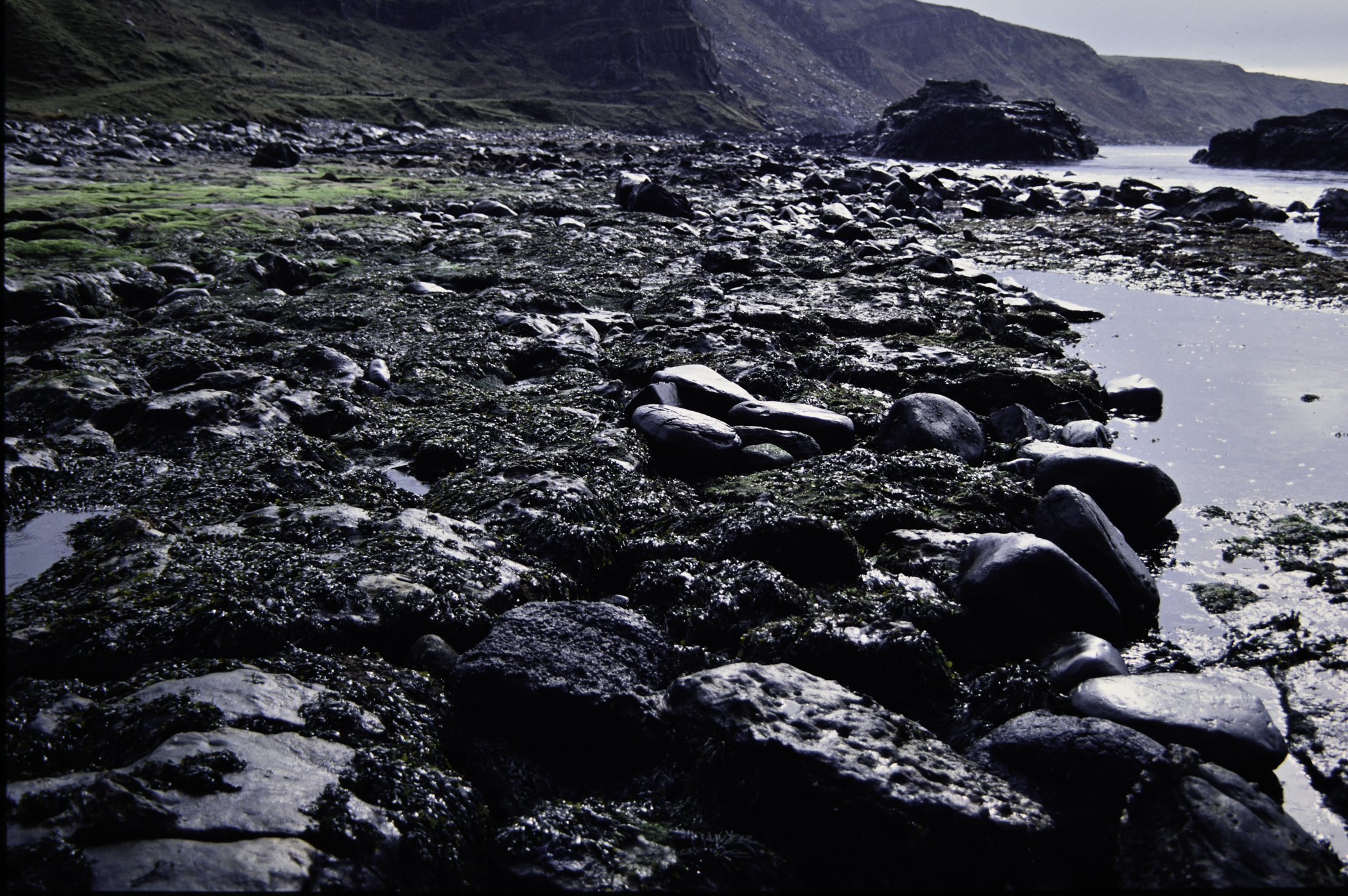 . Site: Carrick More, North Coast. 