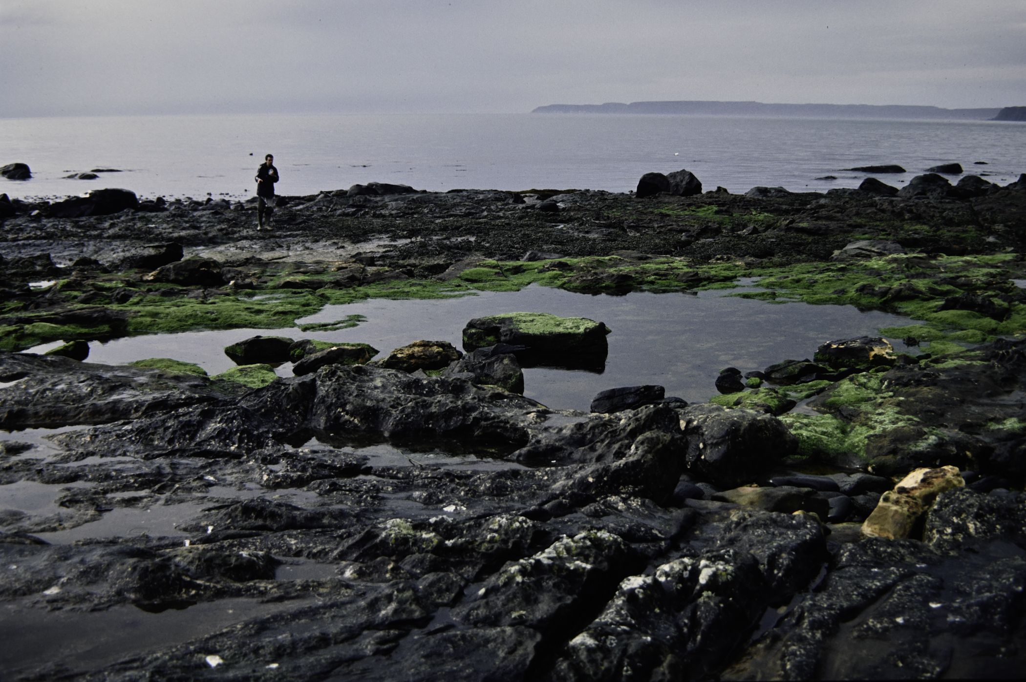 . Site: Carrick More, North Coast. 