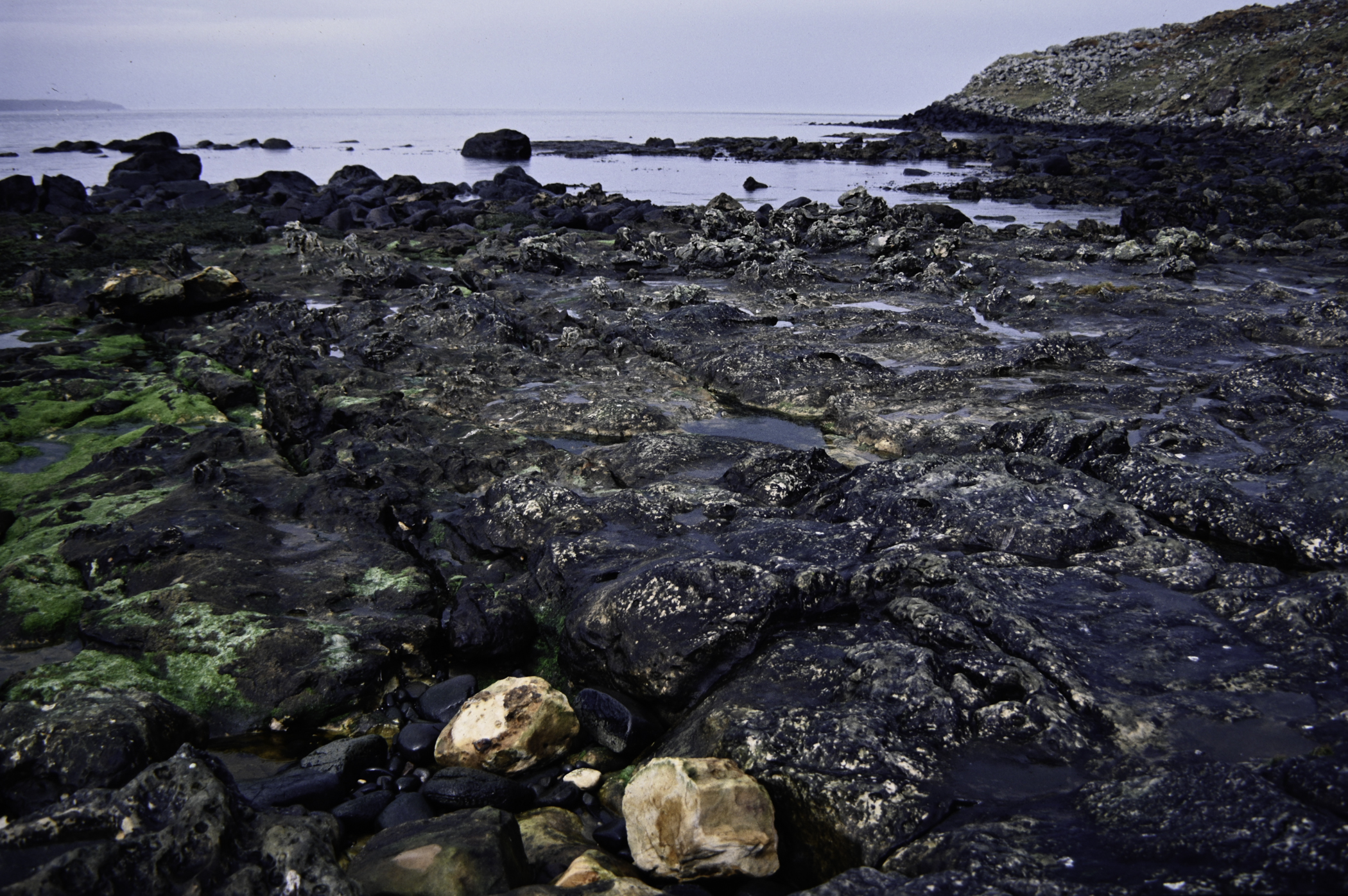 . Site: Carrick More, North Coast. 