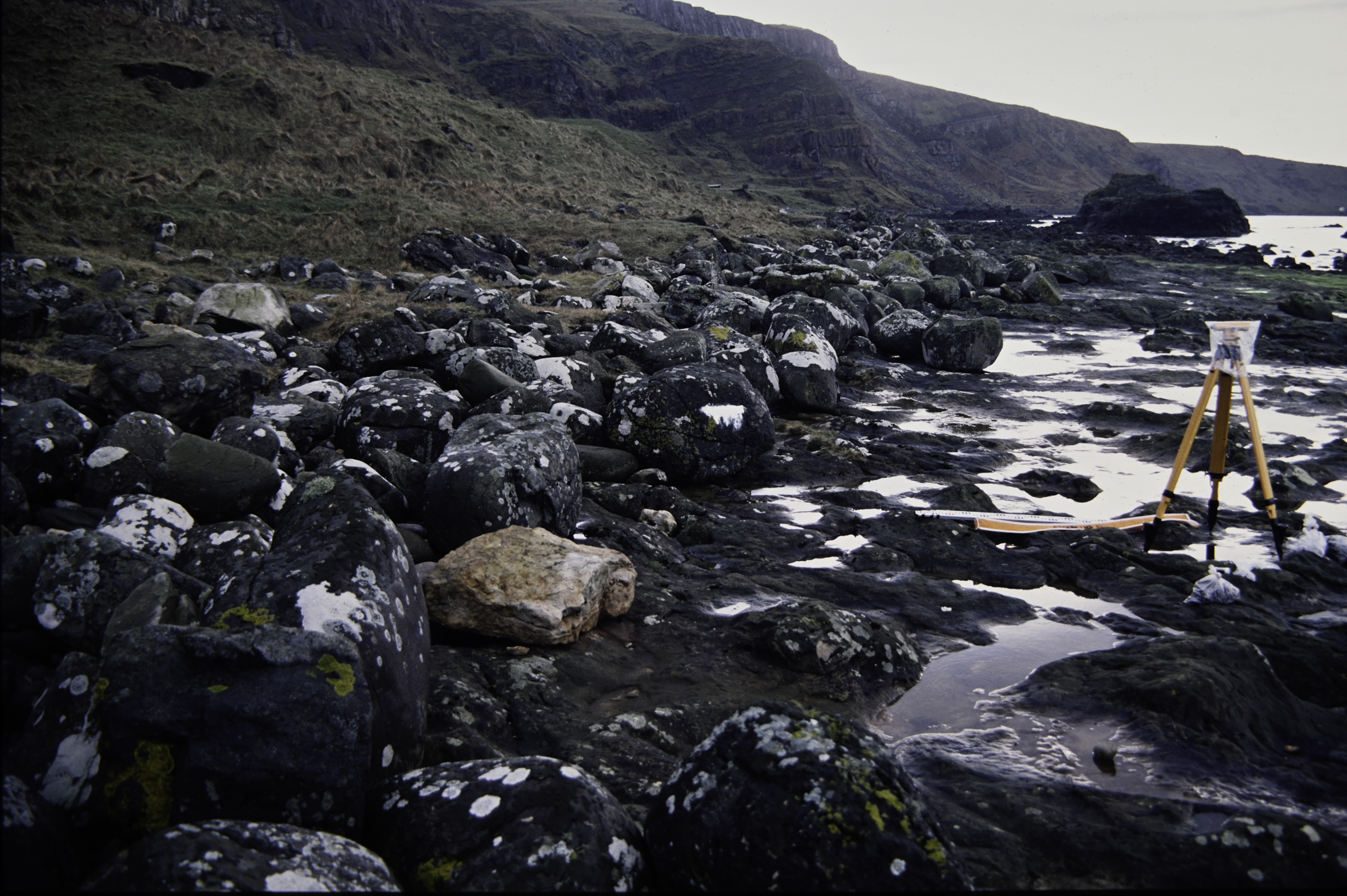 . Site: Carrick More, North Coast. 