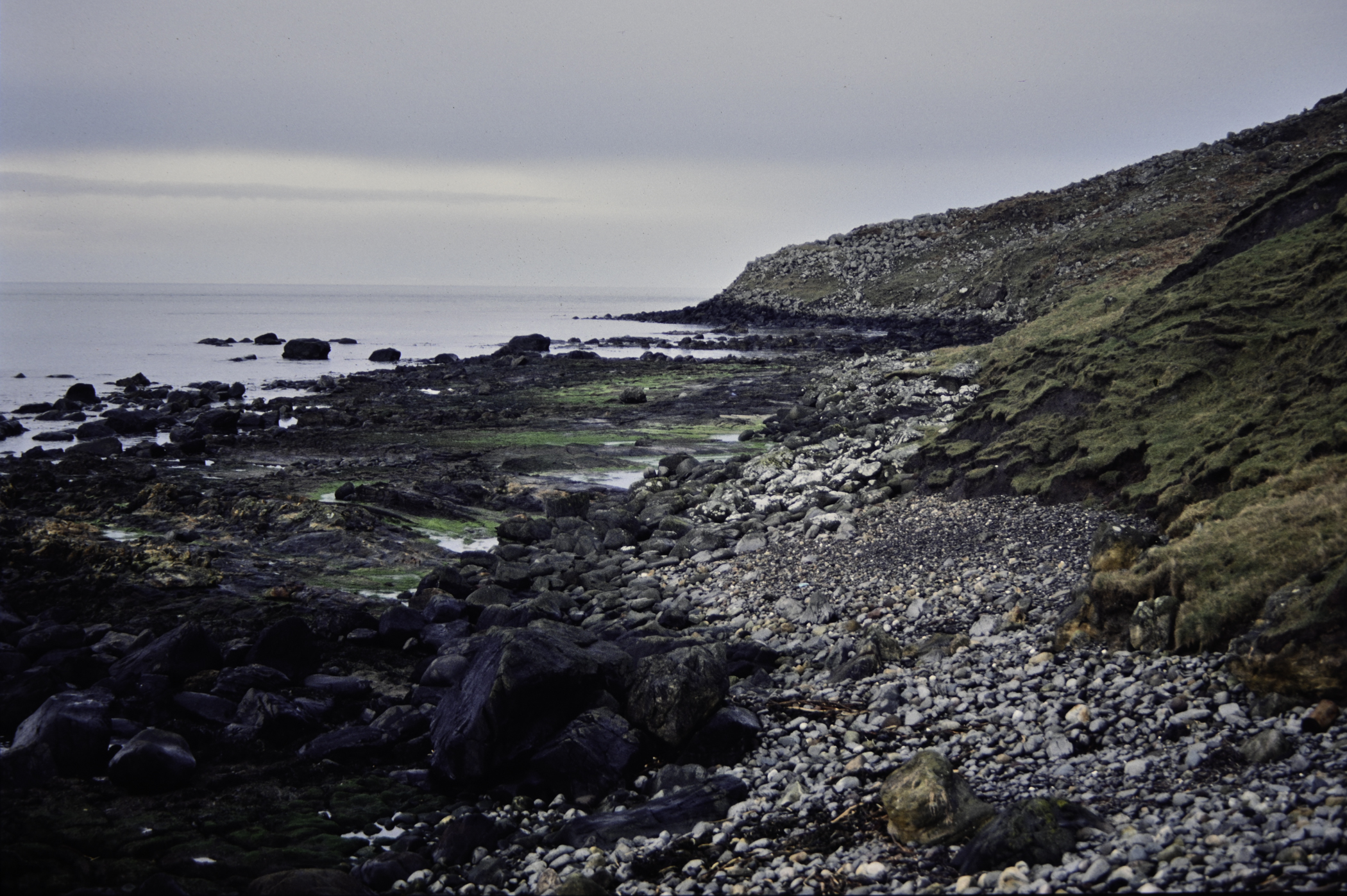 . Site: Carrick More, North Coast. 