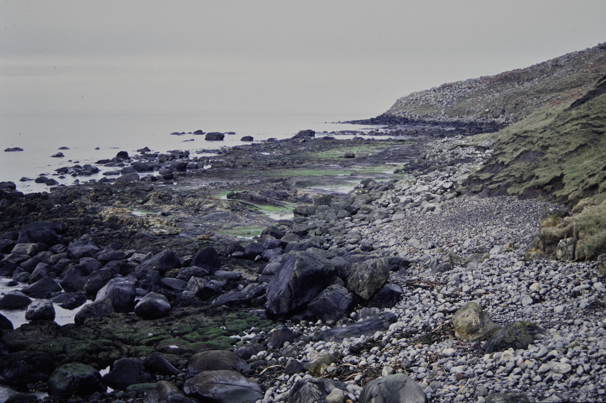 . Site: Carrick More, North Coast. 