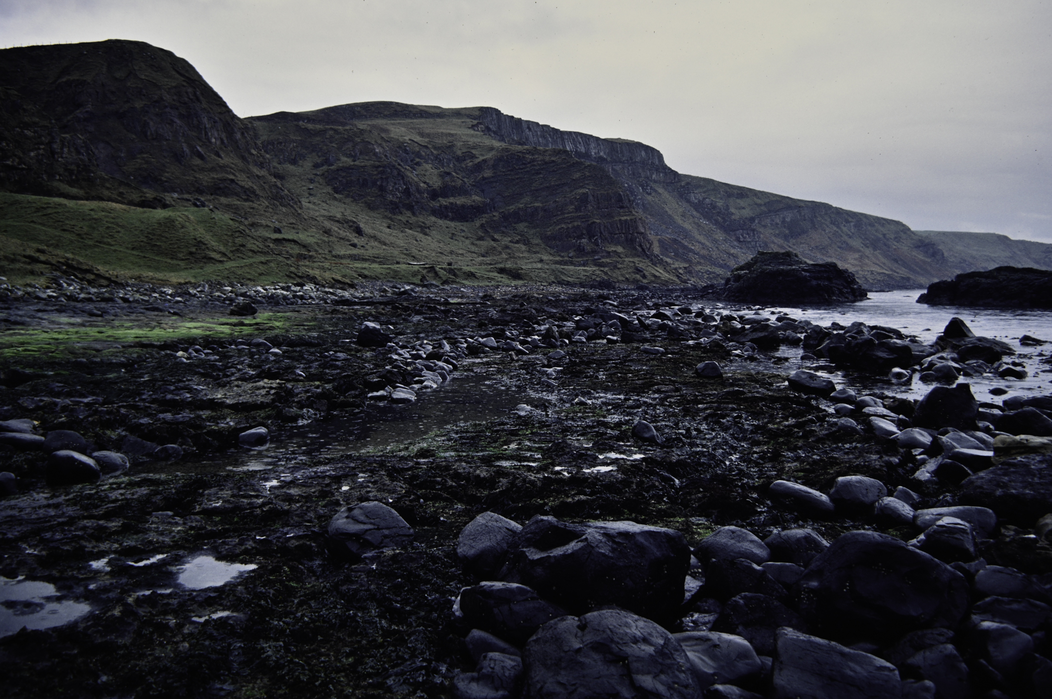 . Site: Carrick More, North Coast. 