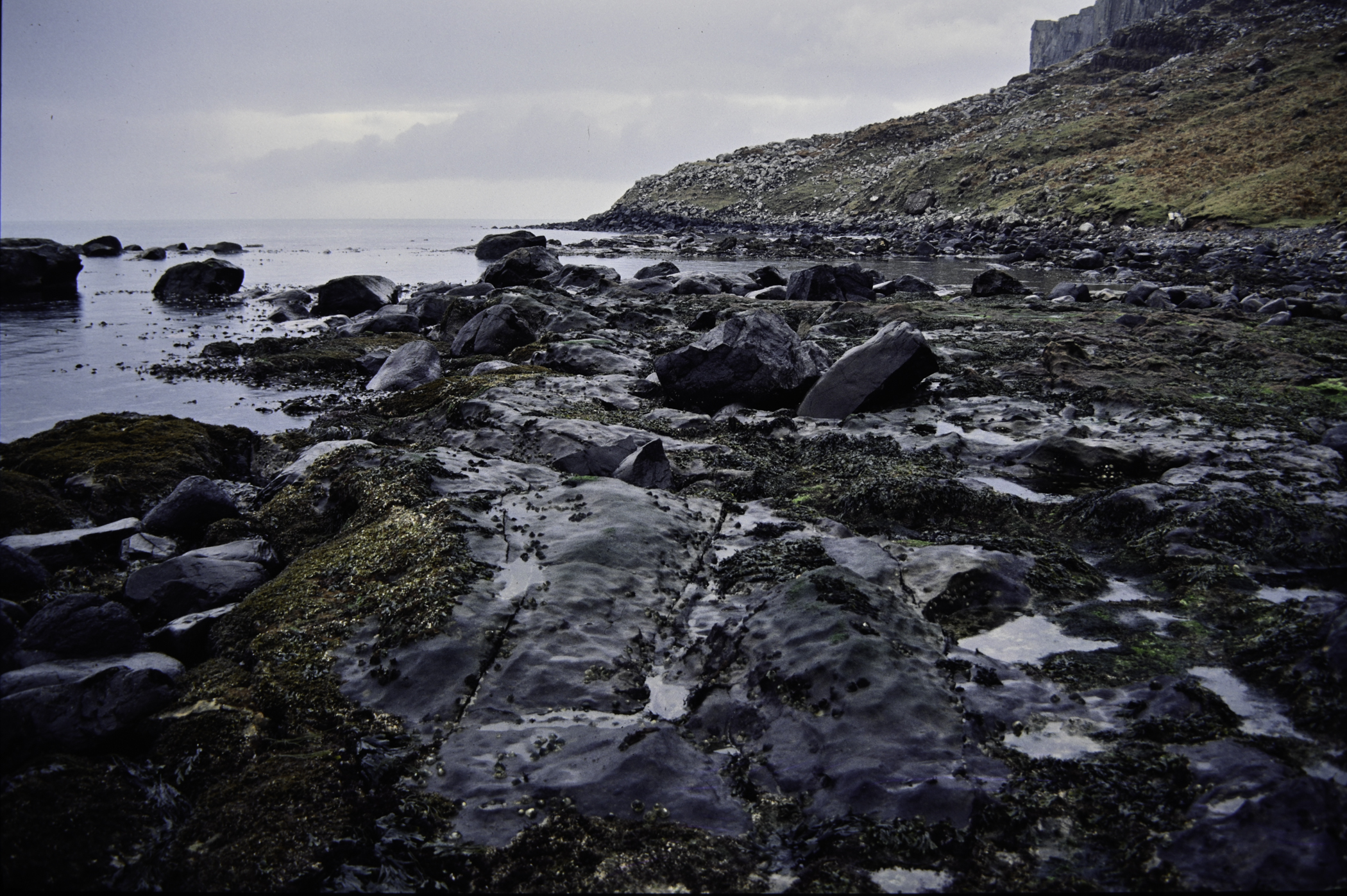 . Site: Carrick More, North Coast. 