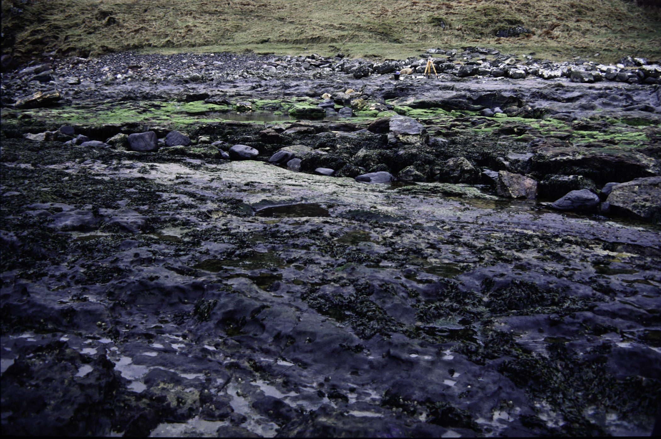 . Site: Carrick More, North Coast. 