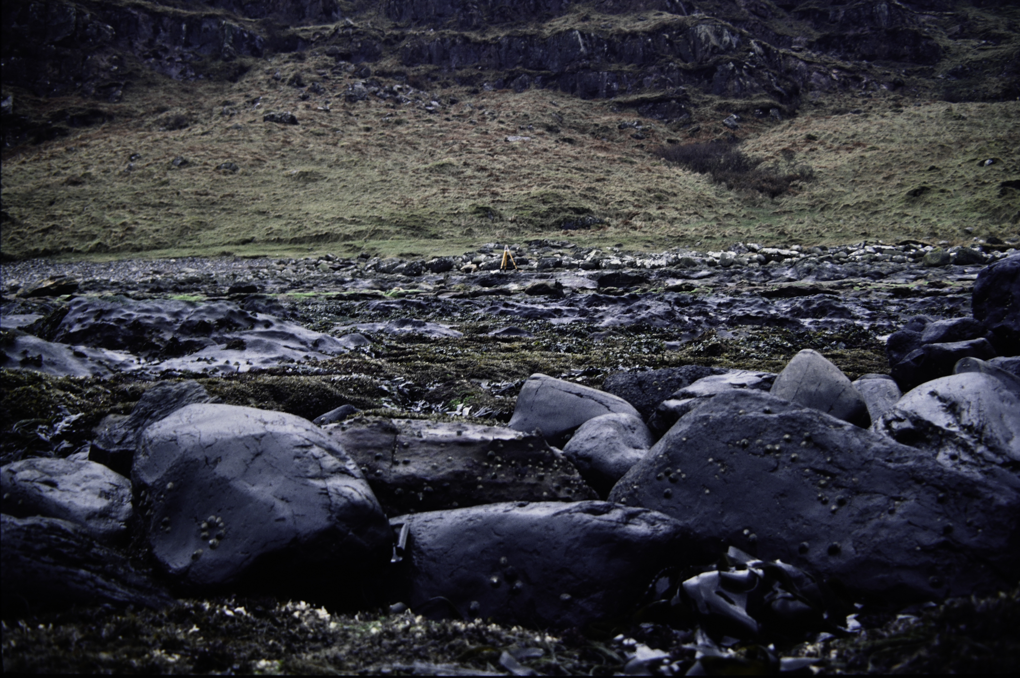 . Site: Carrick More, North Coast. 