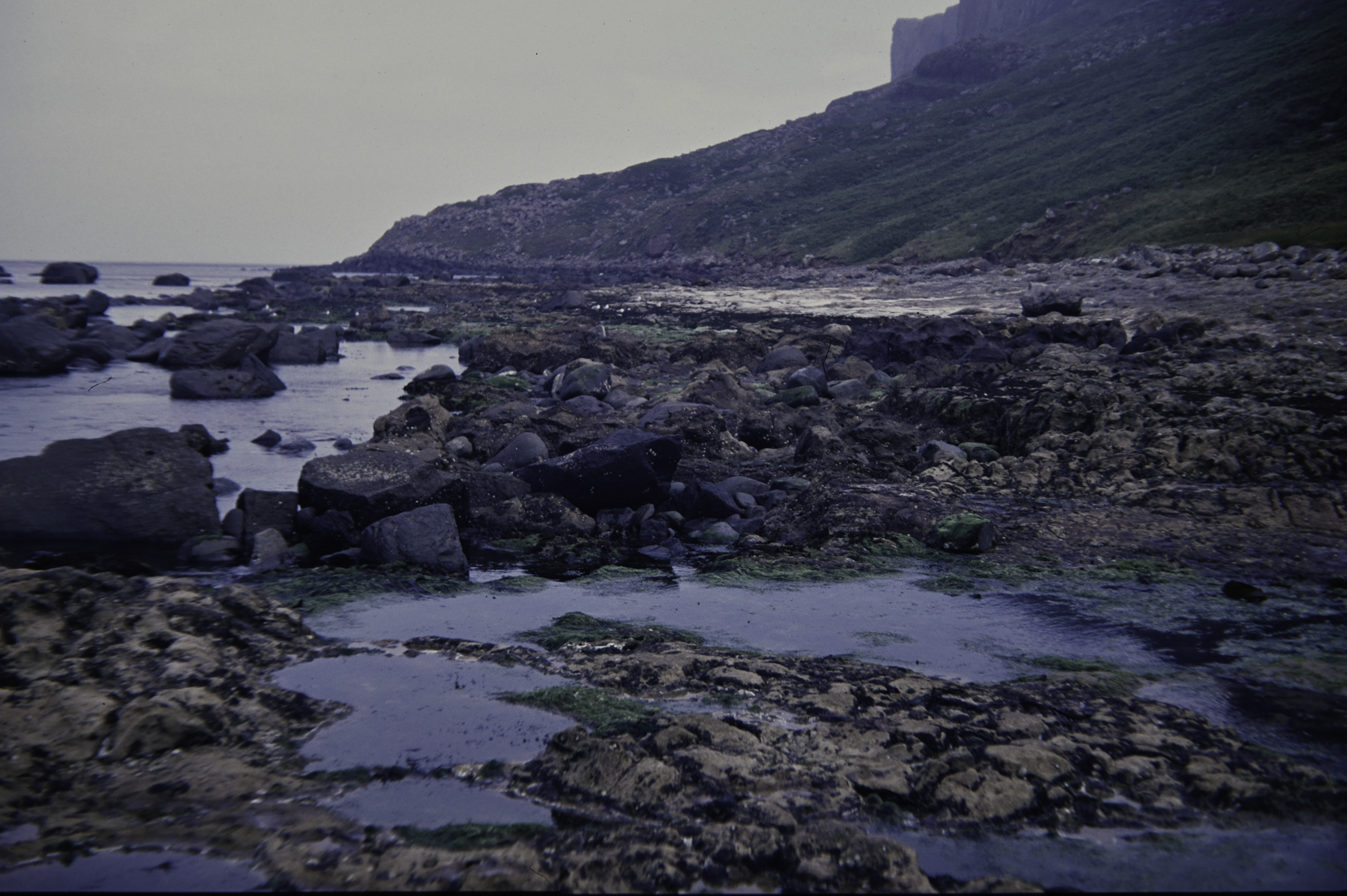 . Site: Carrick More, North Coast. 