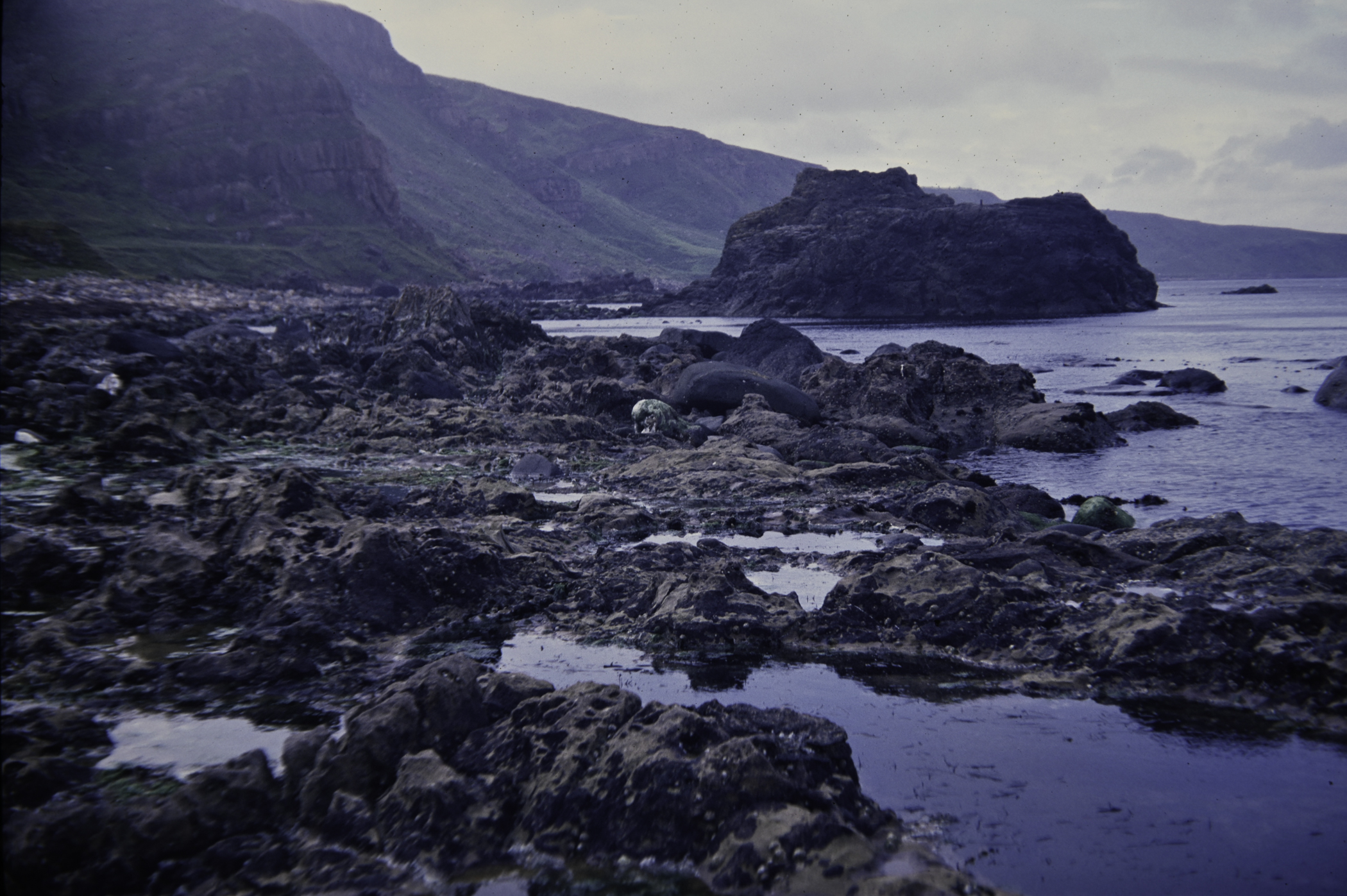 . Site: Carrick More, North Coast. 