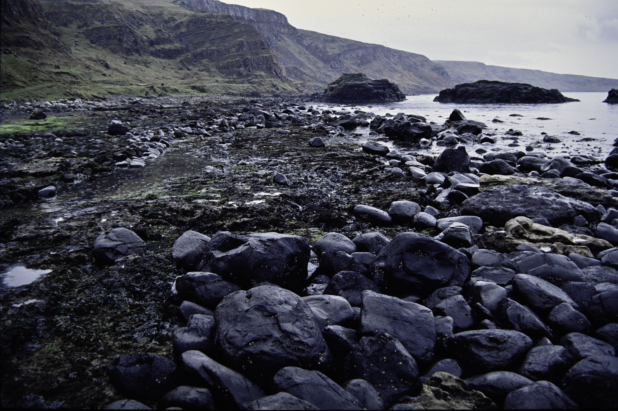 . Site: Carrick More, North Coast. 