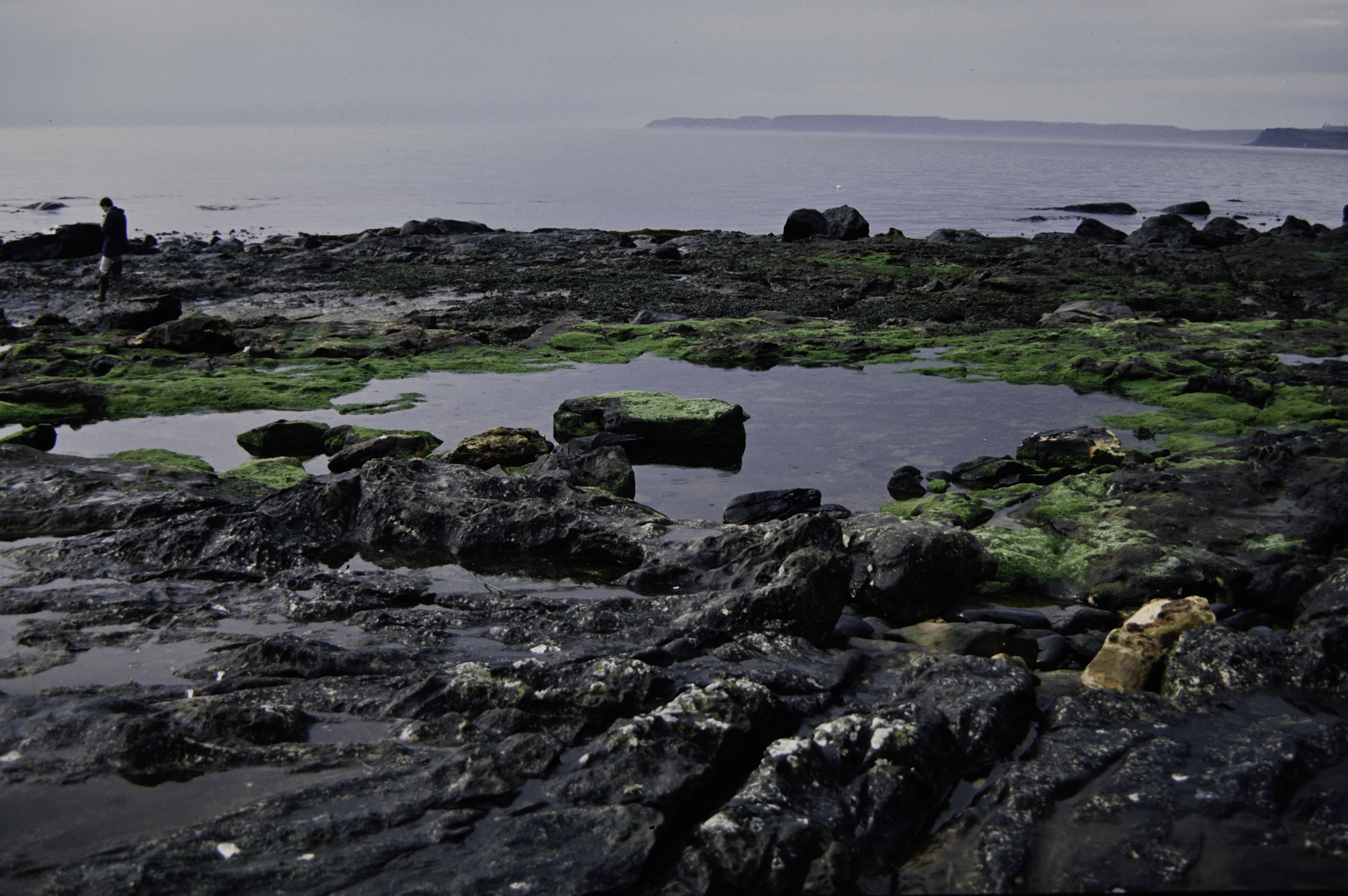 . Site: Carrick More, North Coast. 