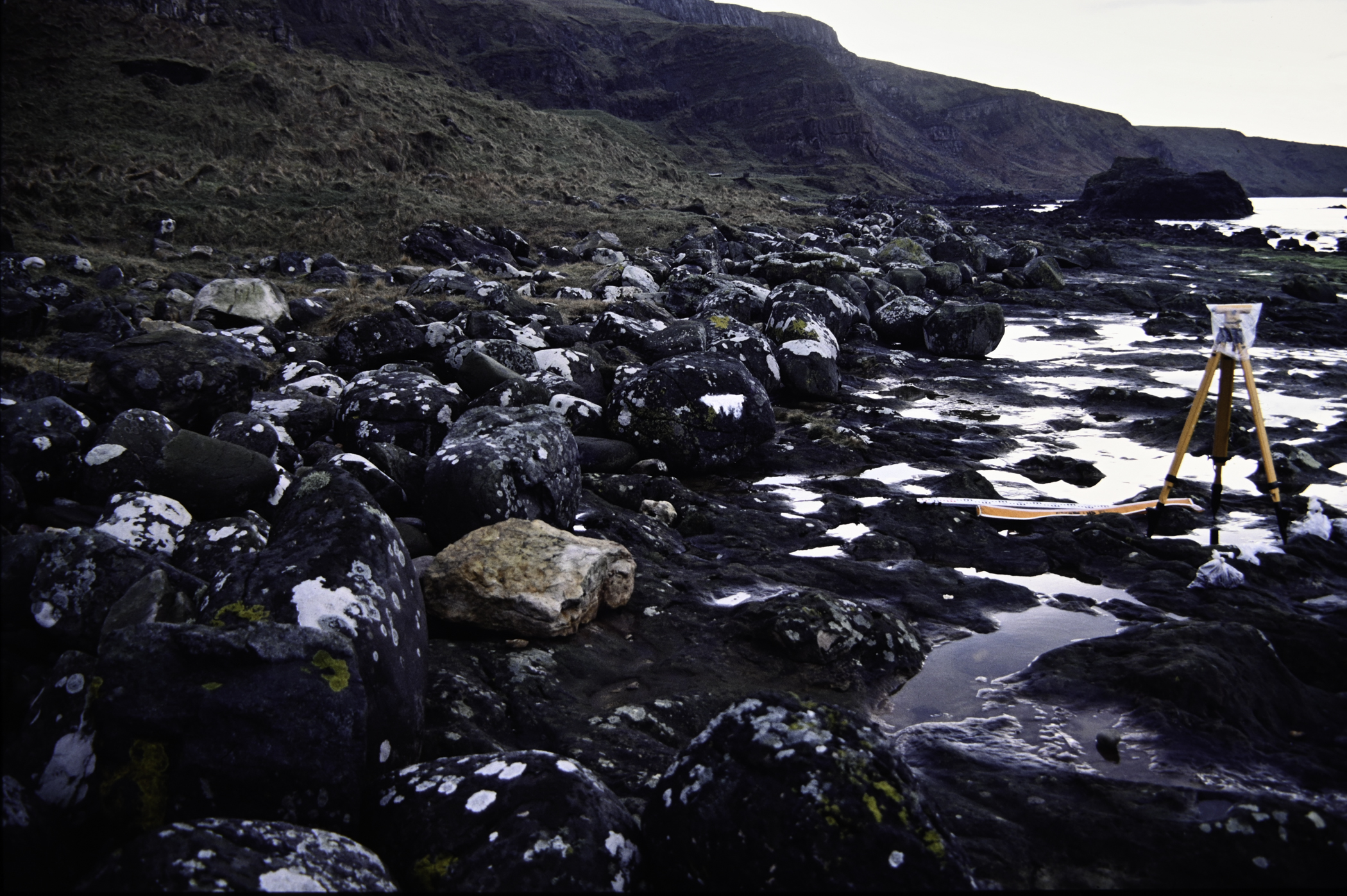 . Site: Carrick More, North Coast. 