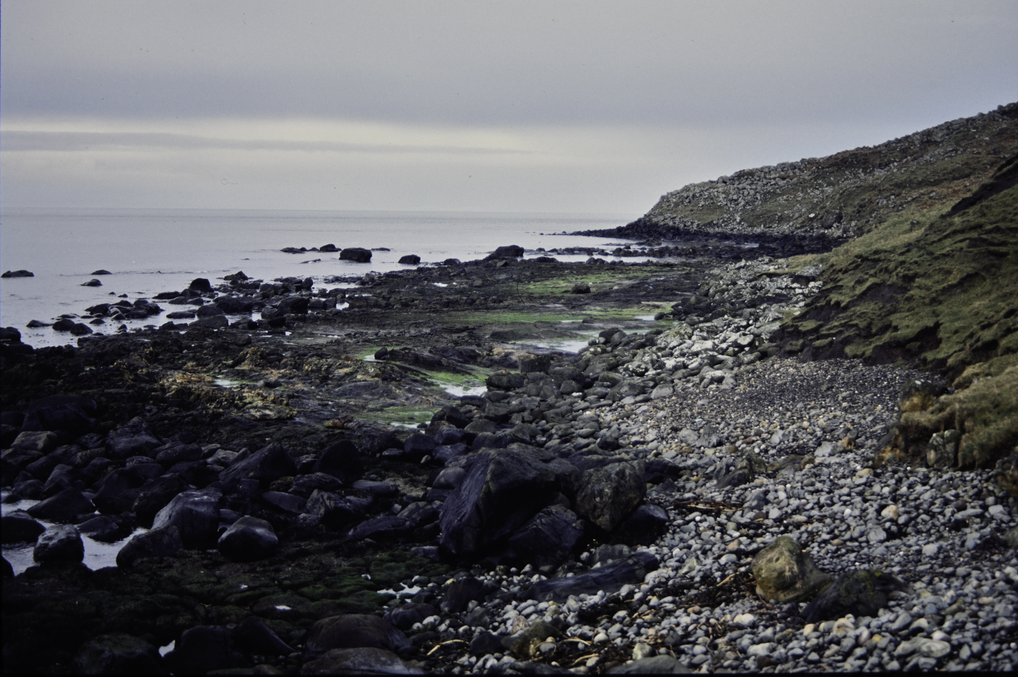 . Site: Carrick More, North Coast. 