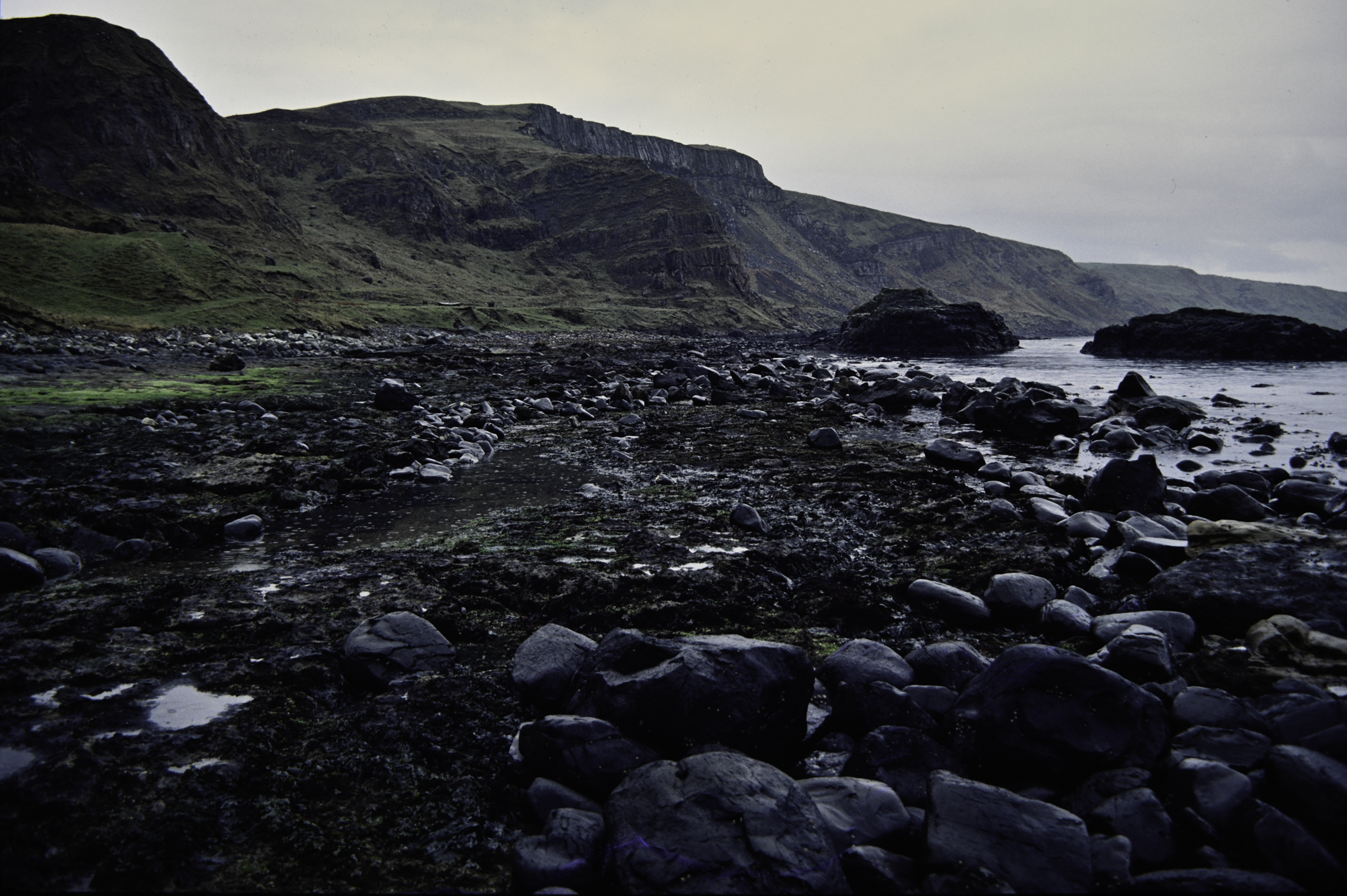 . Site: Carrick More, North Coast. 