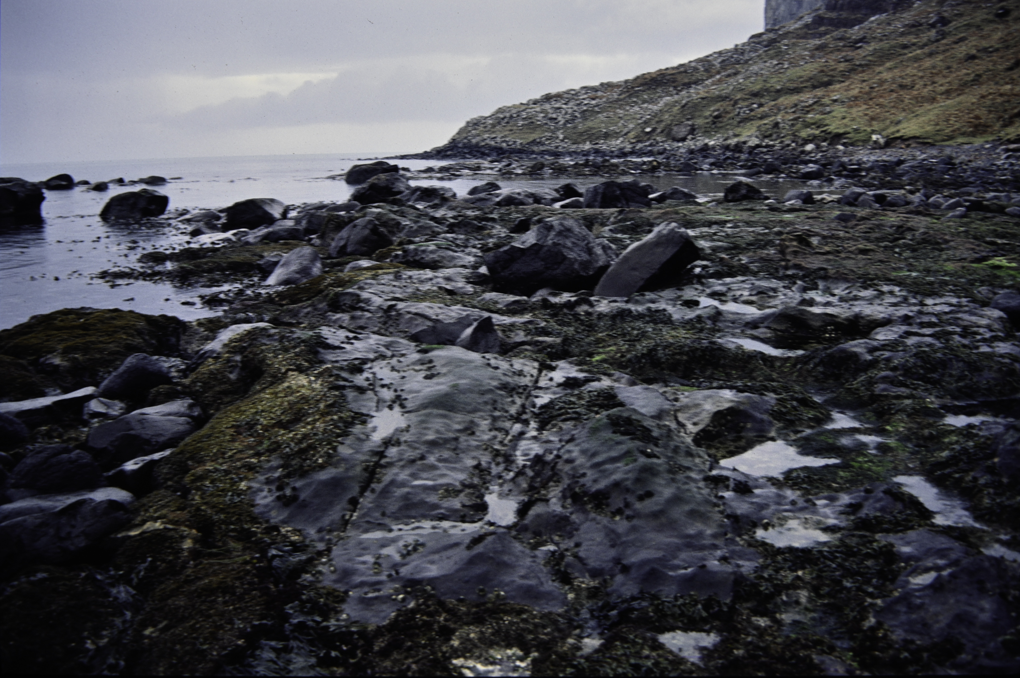 . Site: Carrick More, North Coast. 