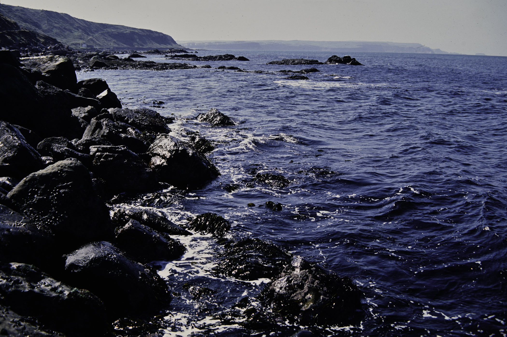 . Site: Fair Head West, North Coast. 