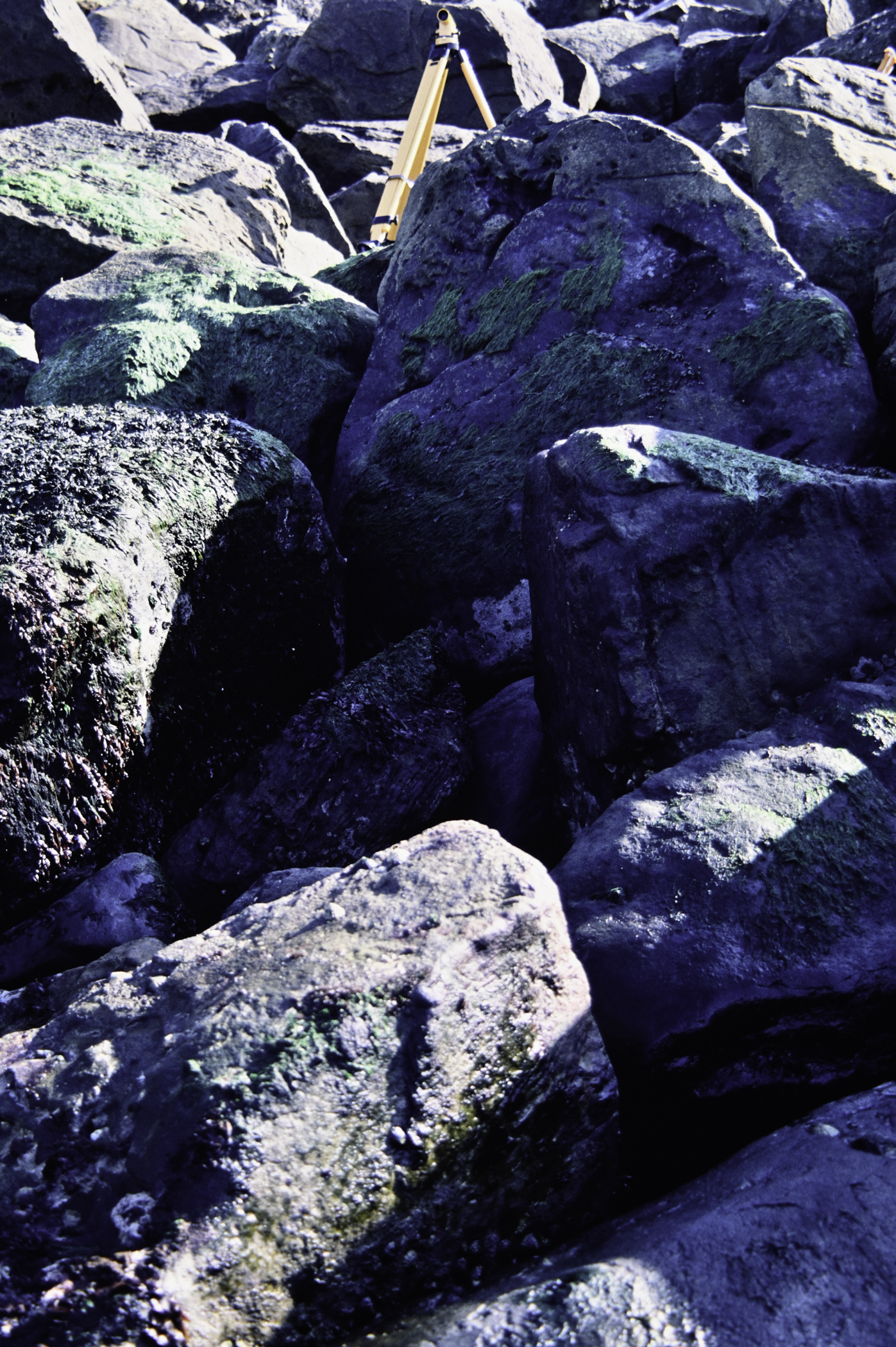 . Site: Fair Head West, North Coast. 