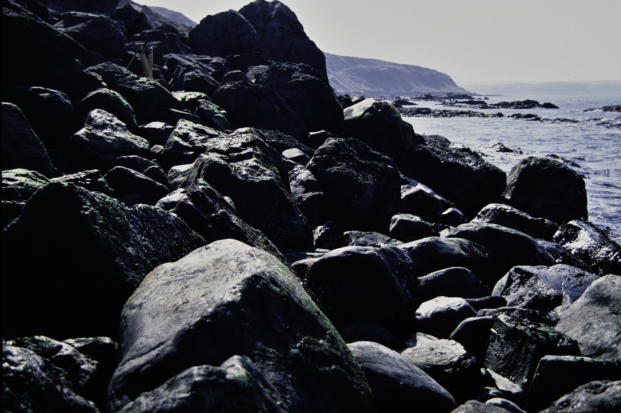 . Site: Fair Head West, North Coast. 