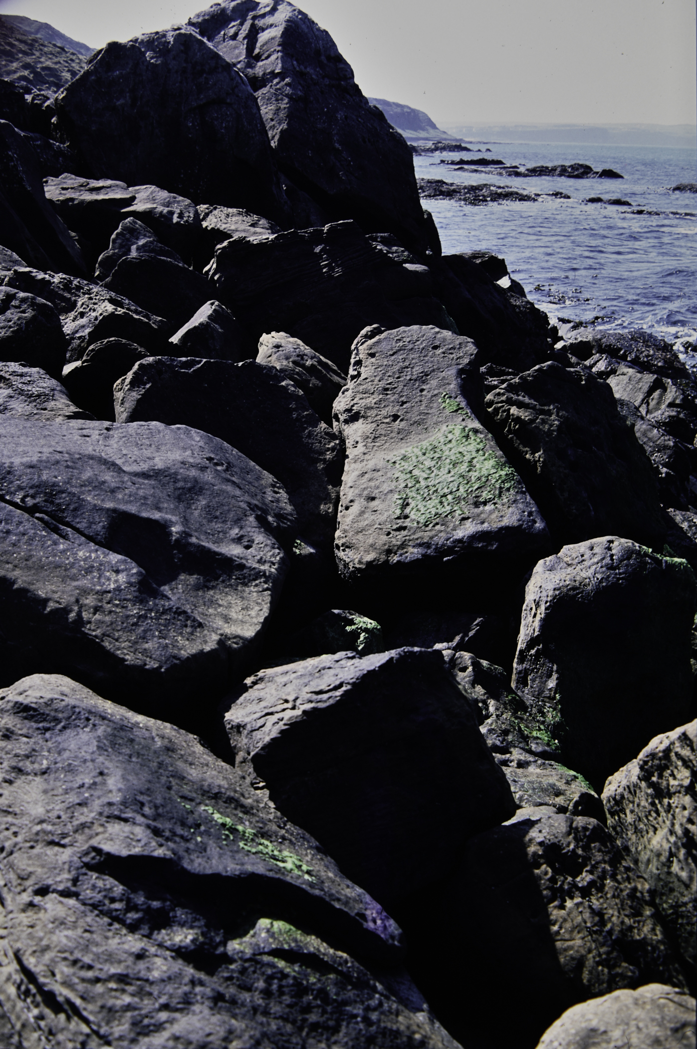 . Site: Fair Head West, North Coast. 