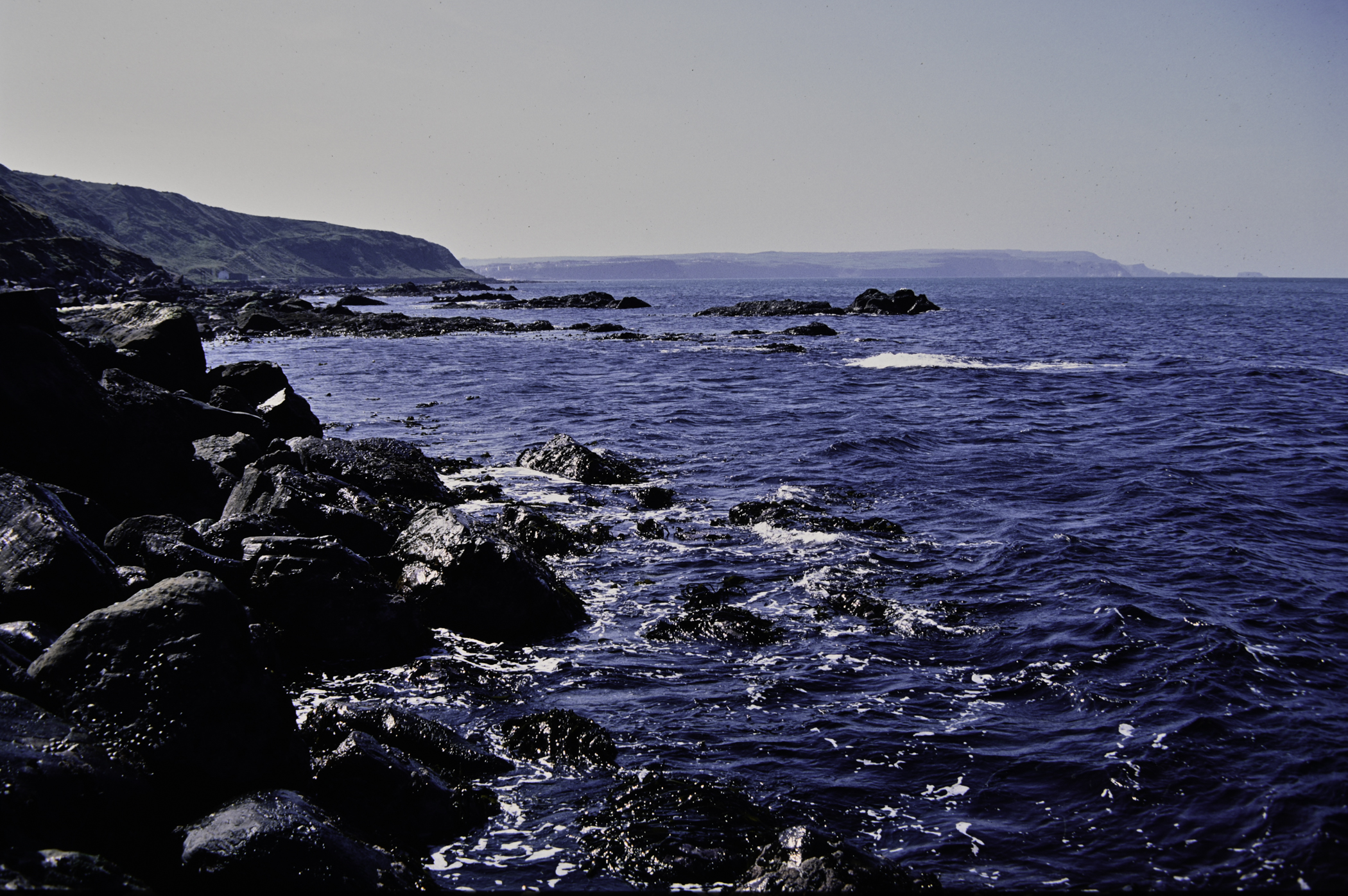 . Site: Fair Head West, North Coast. 