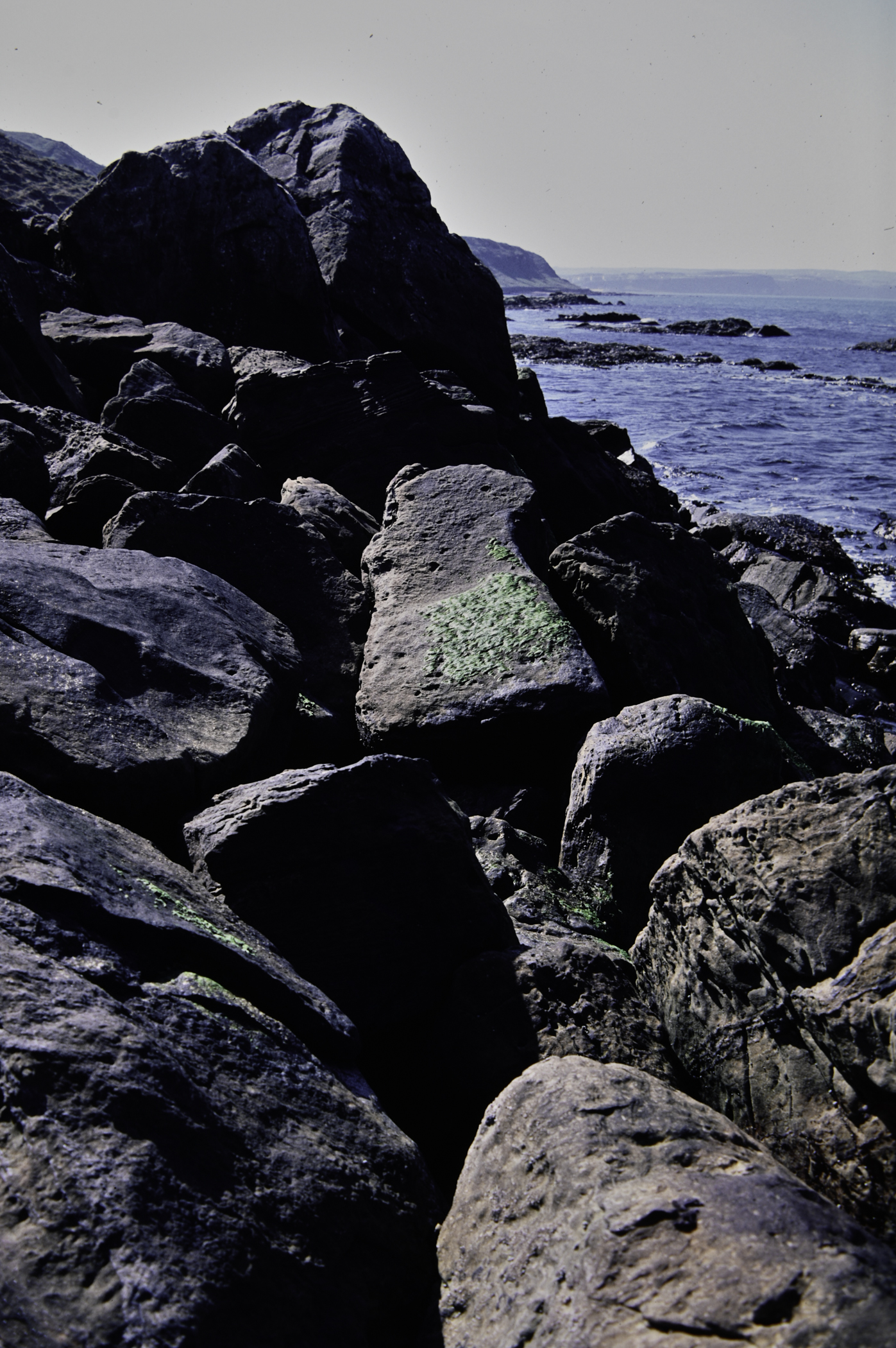 . Site: Fair Head West, North Coast. 