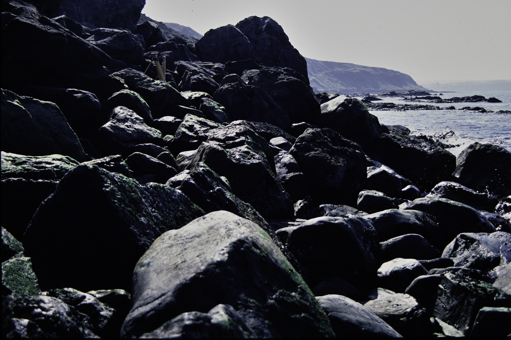 . Site: Fair Head West, North Coast. 