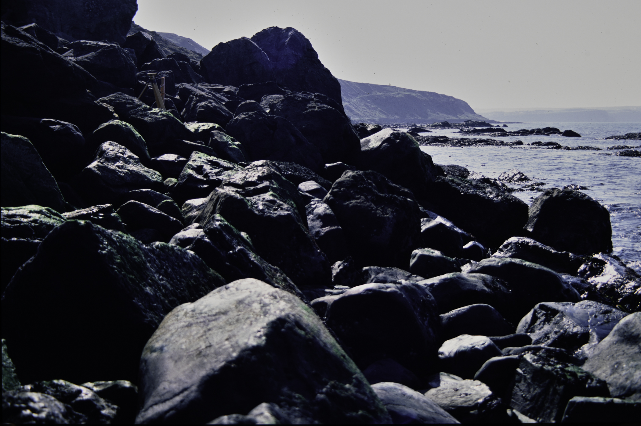 . Site: Fair Head West, North Coast. 