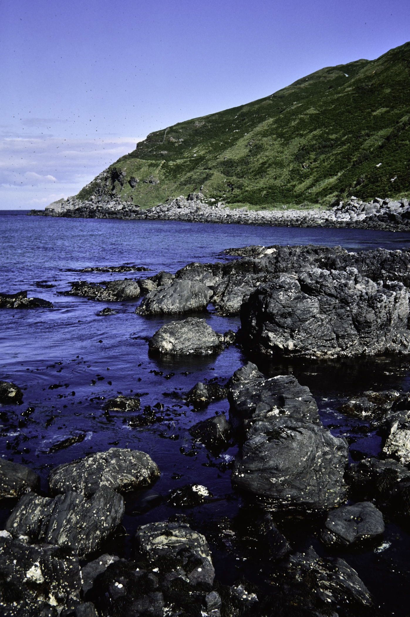 . Site: Murlough Bay, NE Coast. 