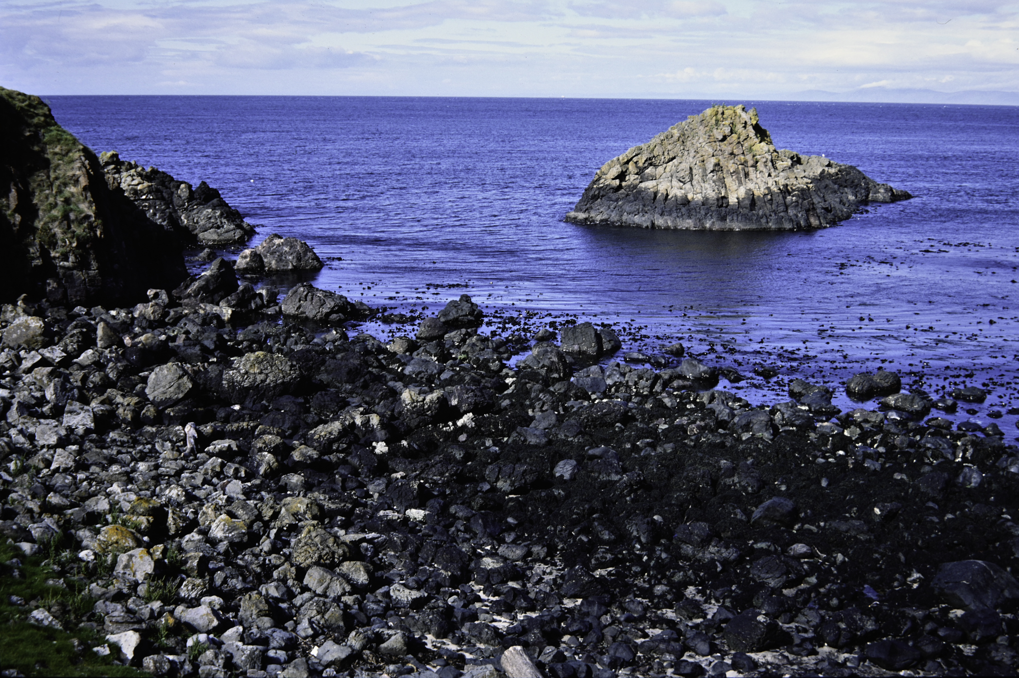 . Site: Murlough Bay, NE Coast. 