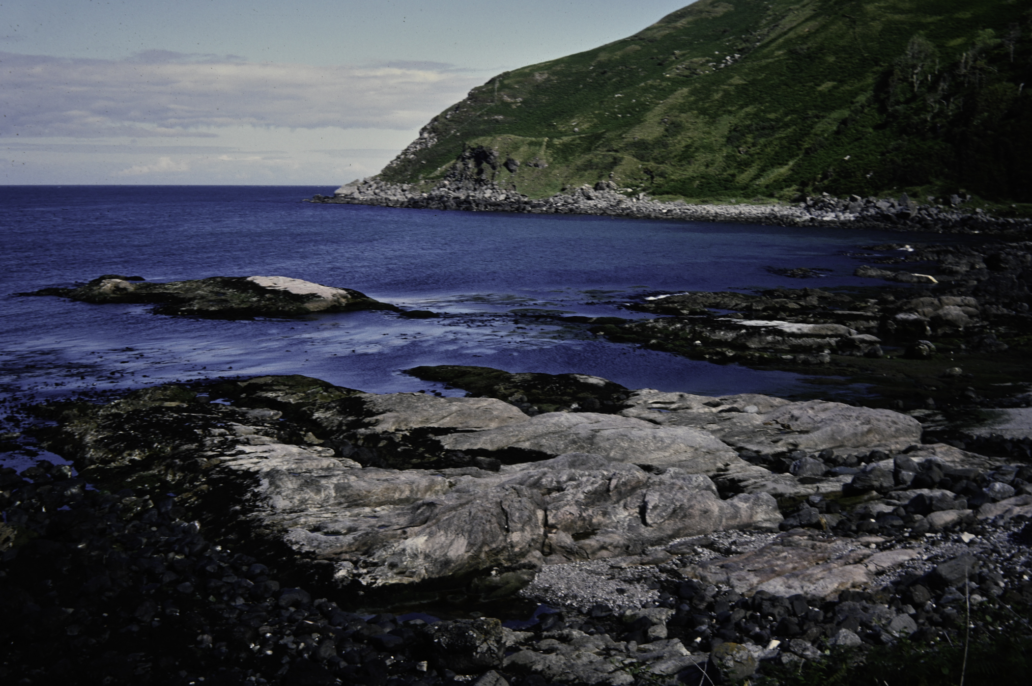 . Site: Murlough Bay, NE Coast. 