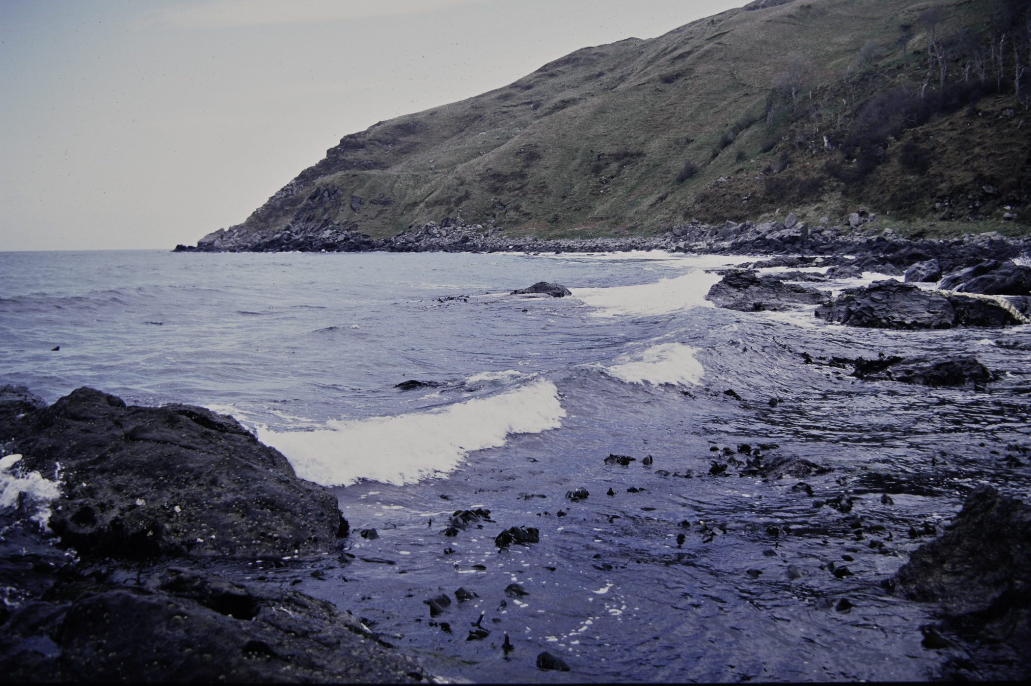 . Site: Murlough Bay, NE Coast. 