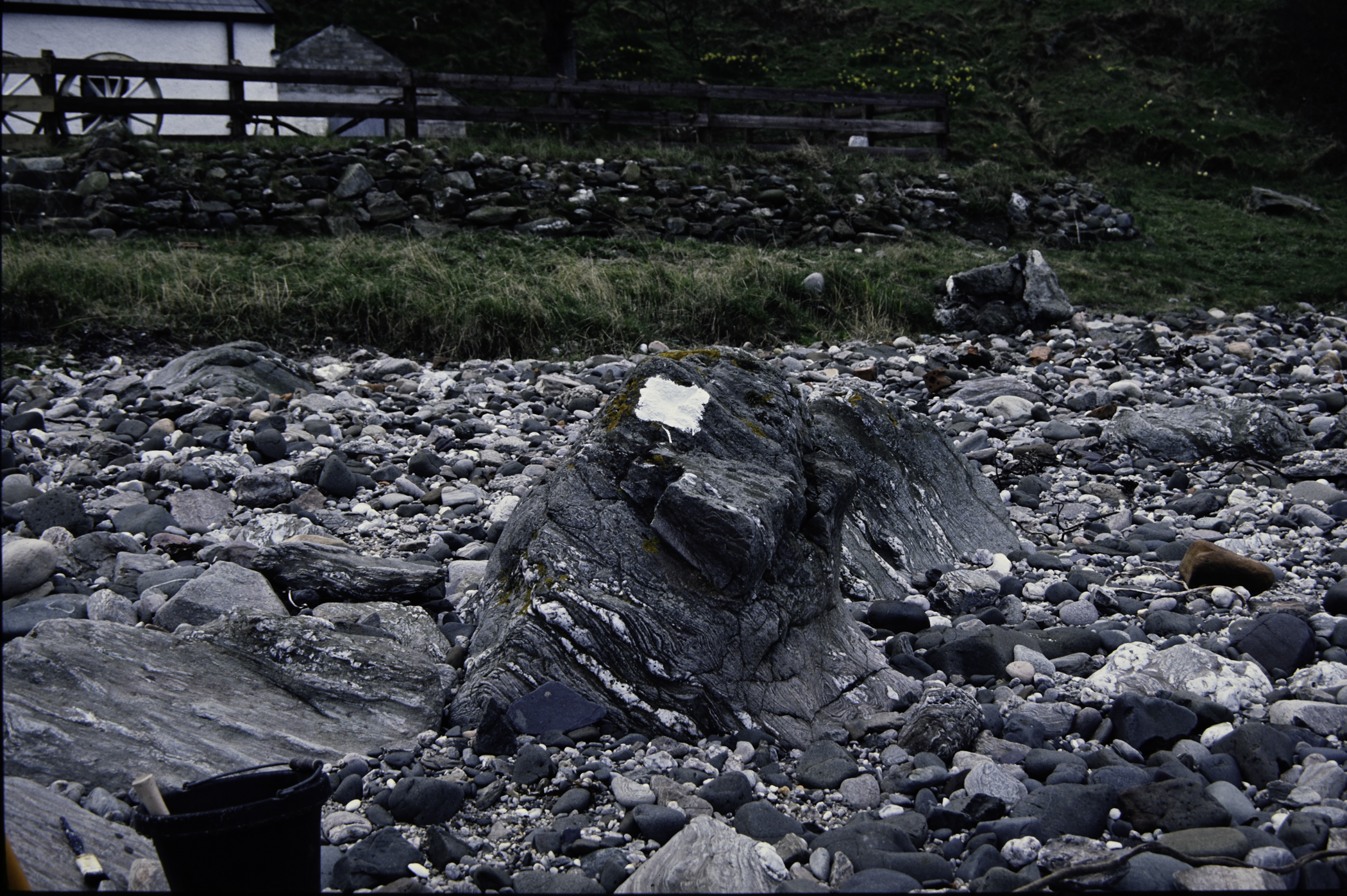 . Site: Murlough Bay, NE Coast. 